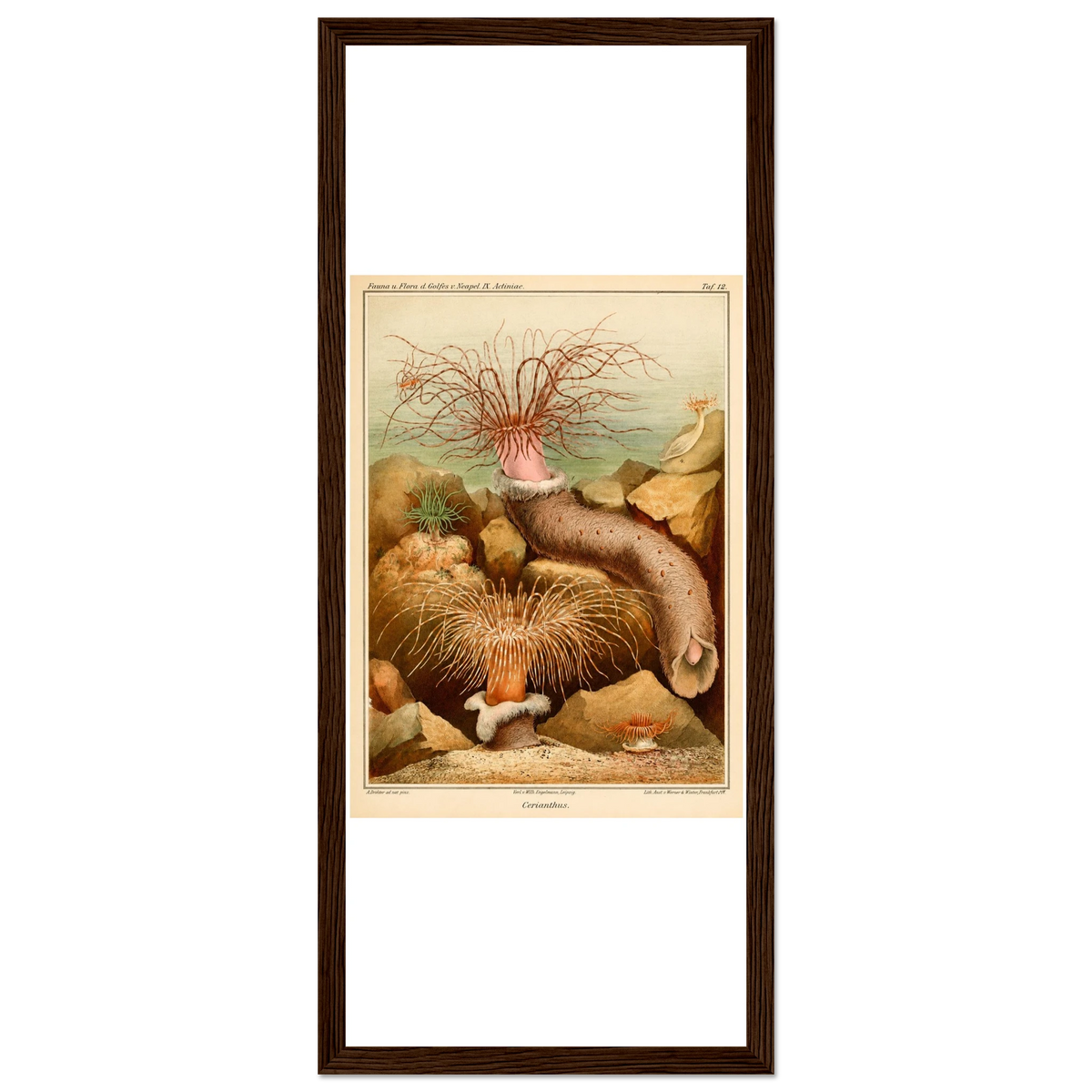 7b9479ca-eae9-4645-b051-f8229ba76bfc