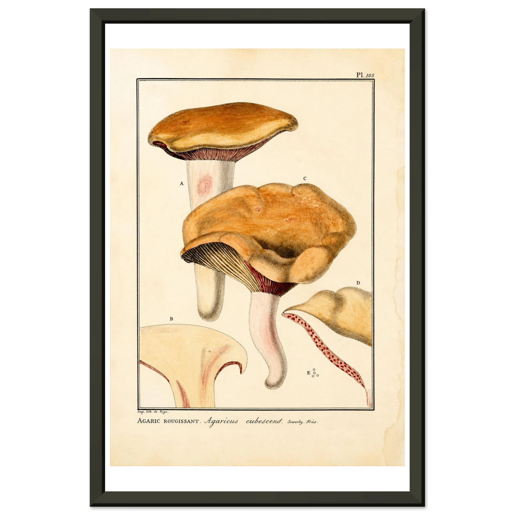 7b9981dd-9e90-4c21-af4a-cdbff0b1b75c