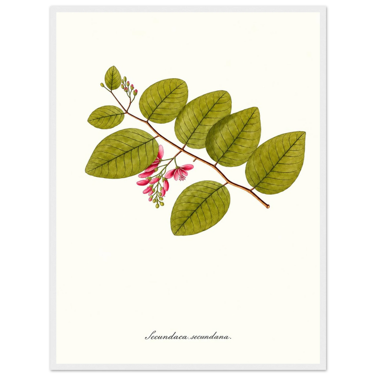 7bb9f1fa-16e8-41ed-bd11-c4ecbc20f6a0