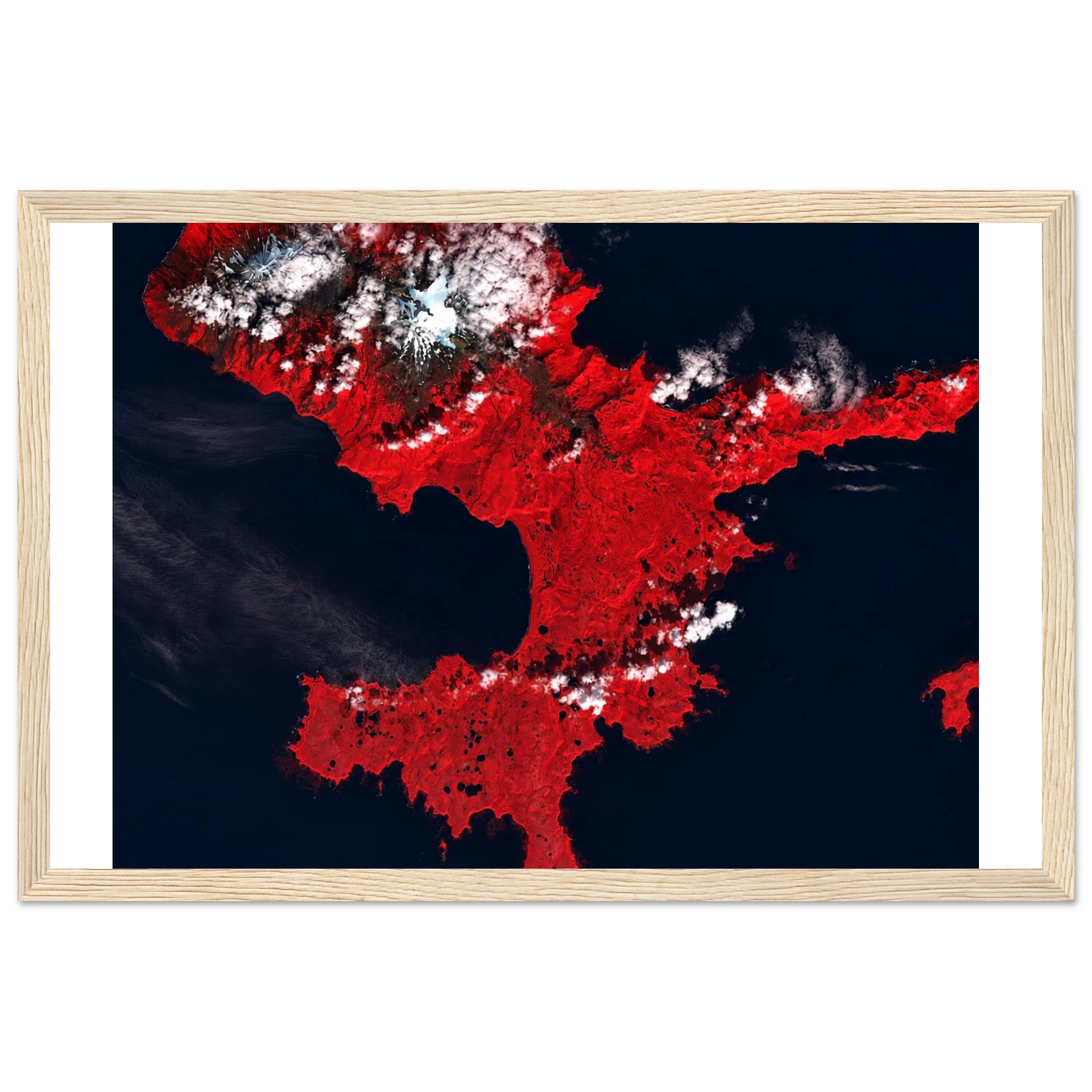 7bc1f5ab-0301-42c7-b3f0-13909e3dbb0c