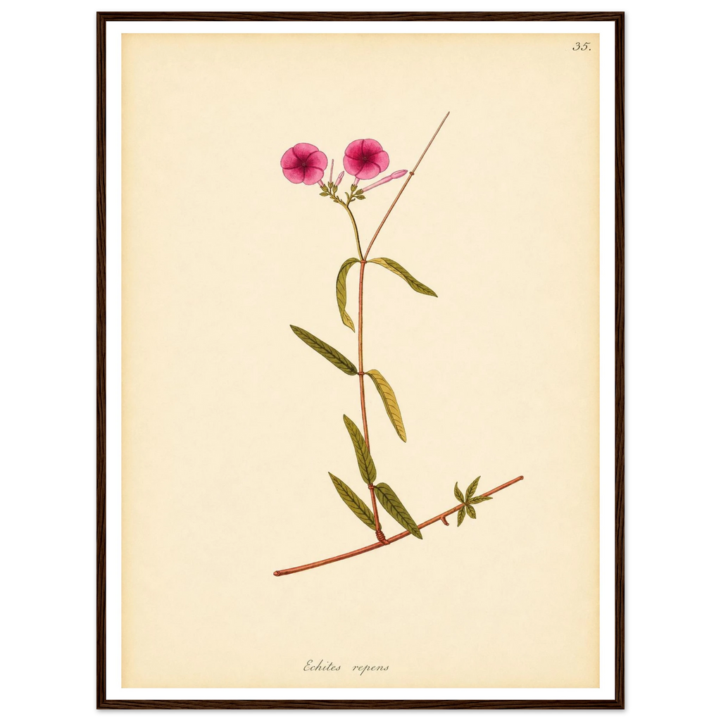 7c0796dd-ffa9-4097-be0c-f51dd8680135