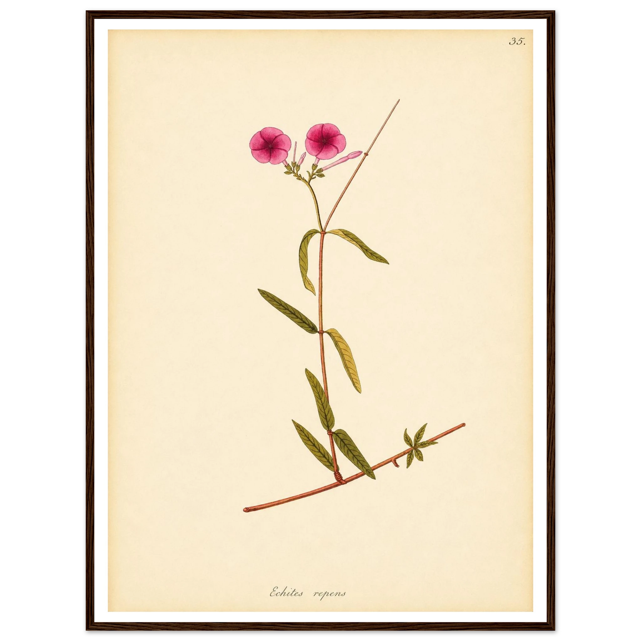 7c0796dd-ffa9-4097-be0c-f51dd8680135