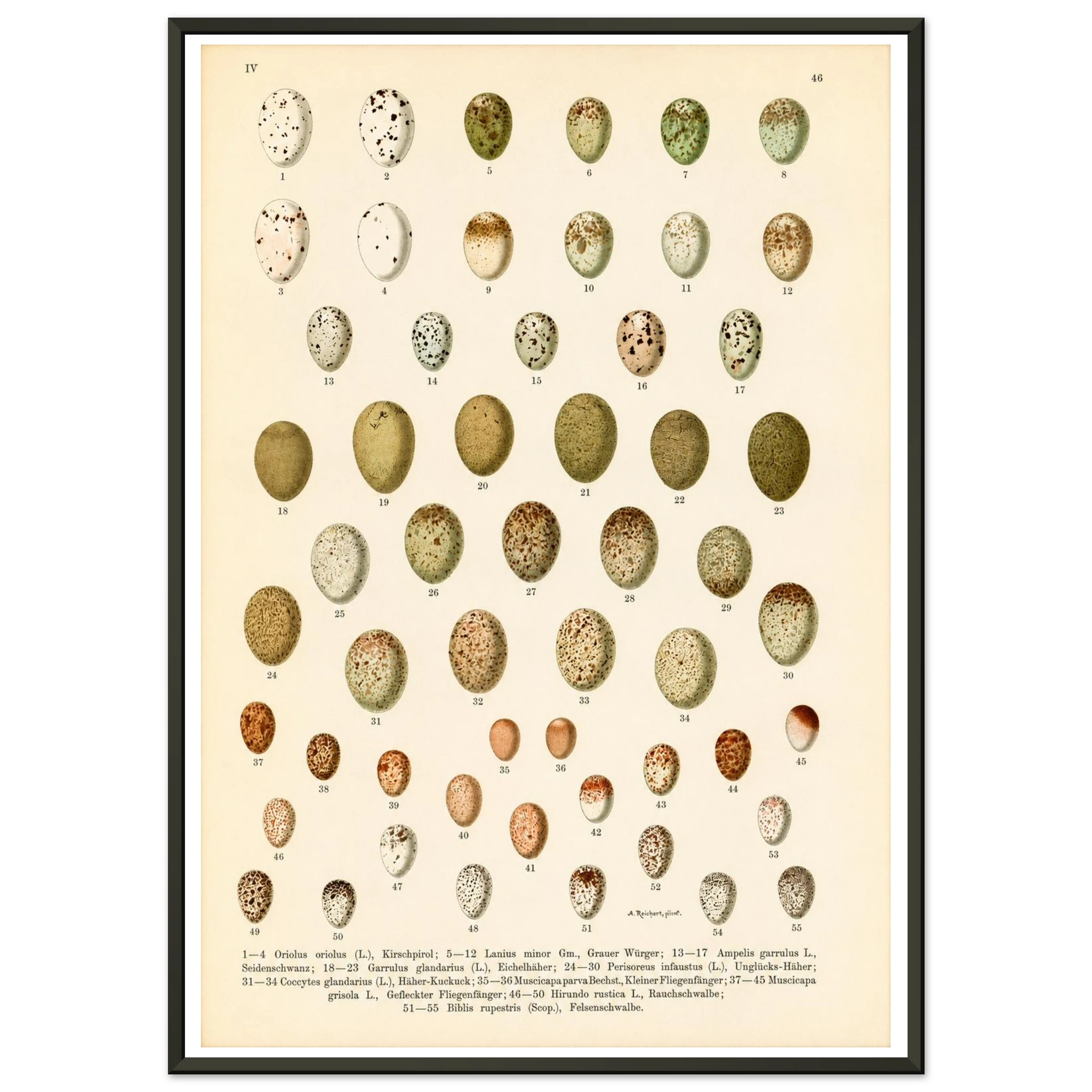 7c55c0ce-1b6e-41e3-93f5-ae016f0a2ab8