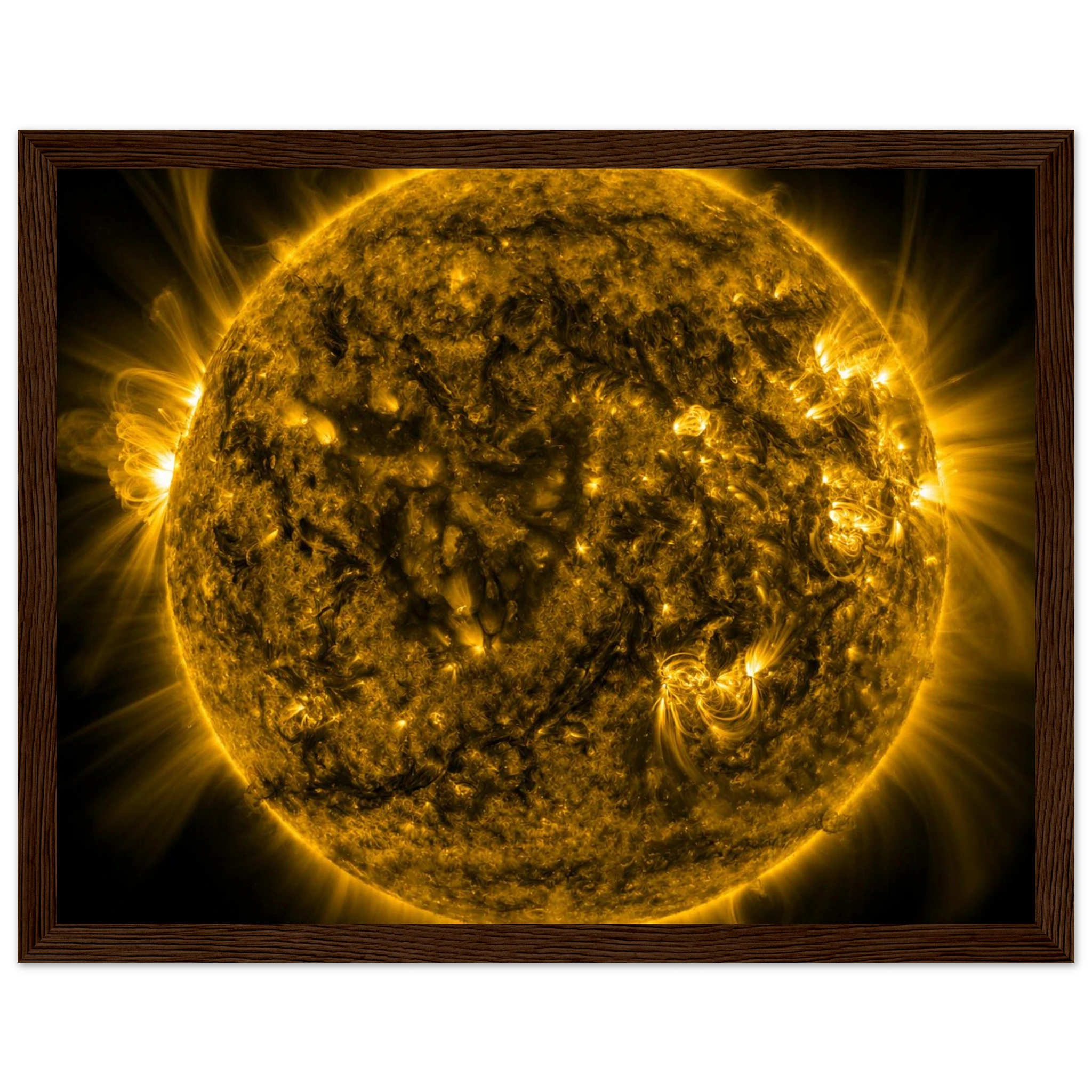 7c5faaa5-90ea-415a-b196-40412a7165c8