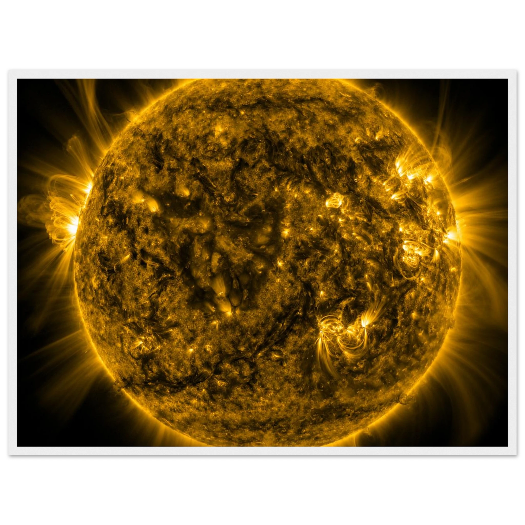 7cd517c9-8714-442b-a5f7-4b322e548eea