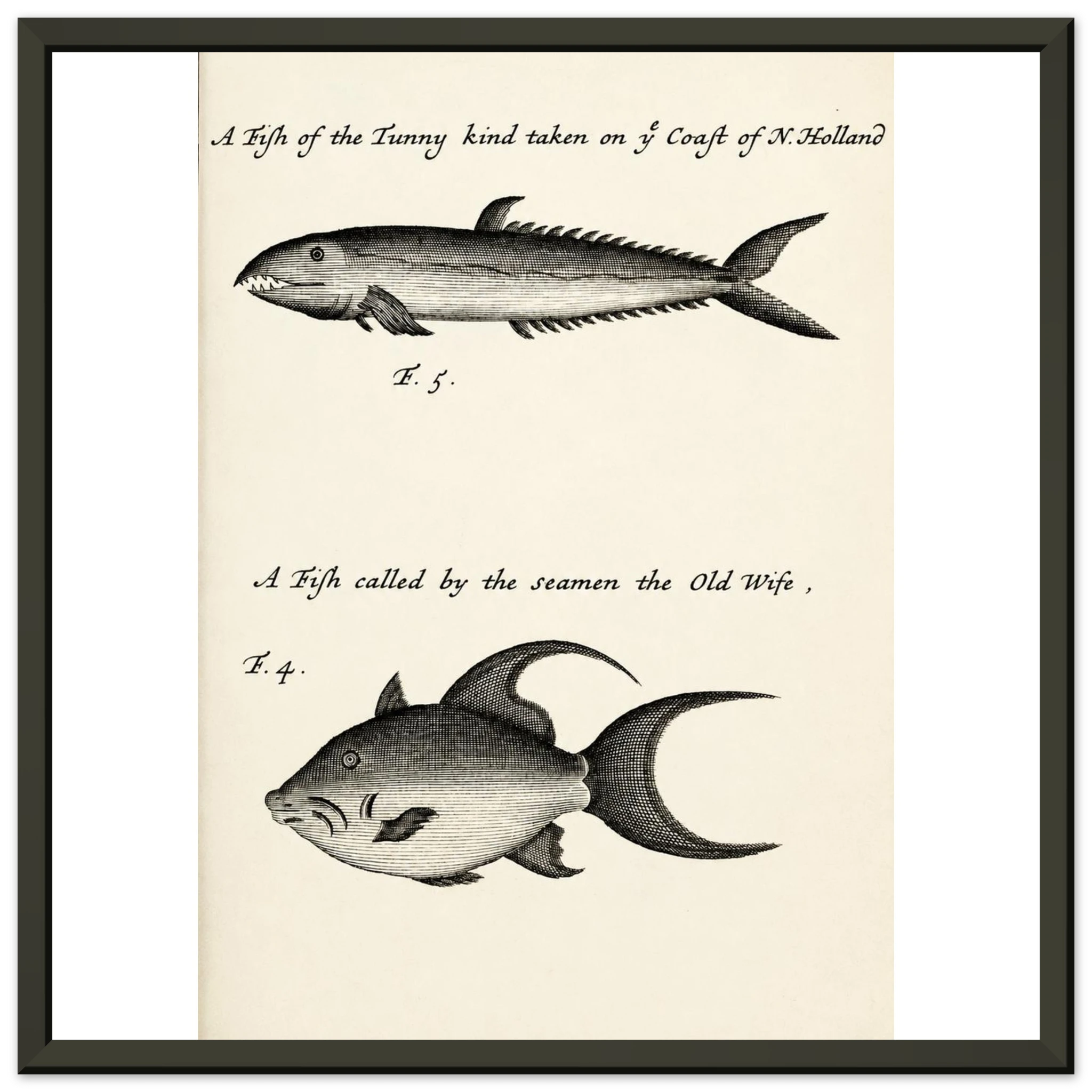 7dab162d-4476-45ad-9529-fd0b6eeadded