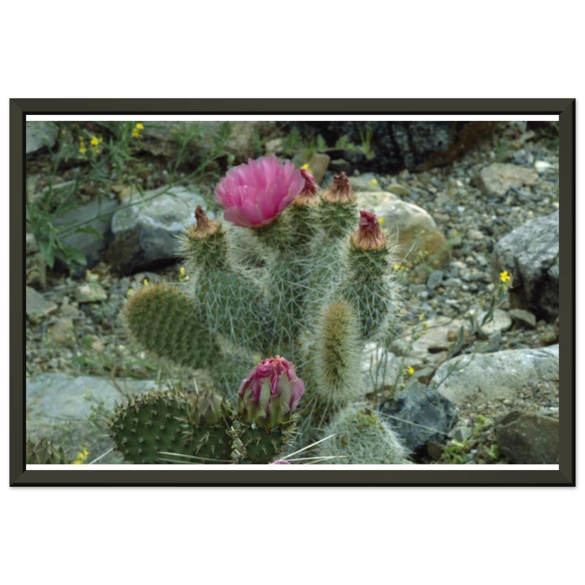 7de157f4-1cd8-46e9-a891-df685c2974f5