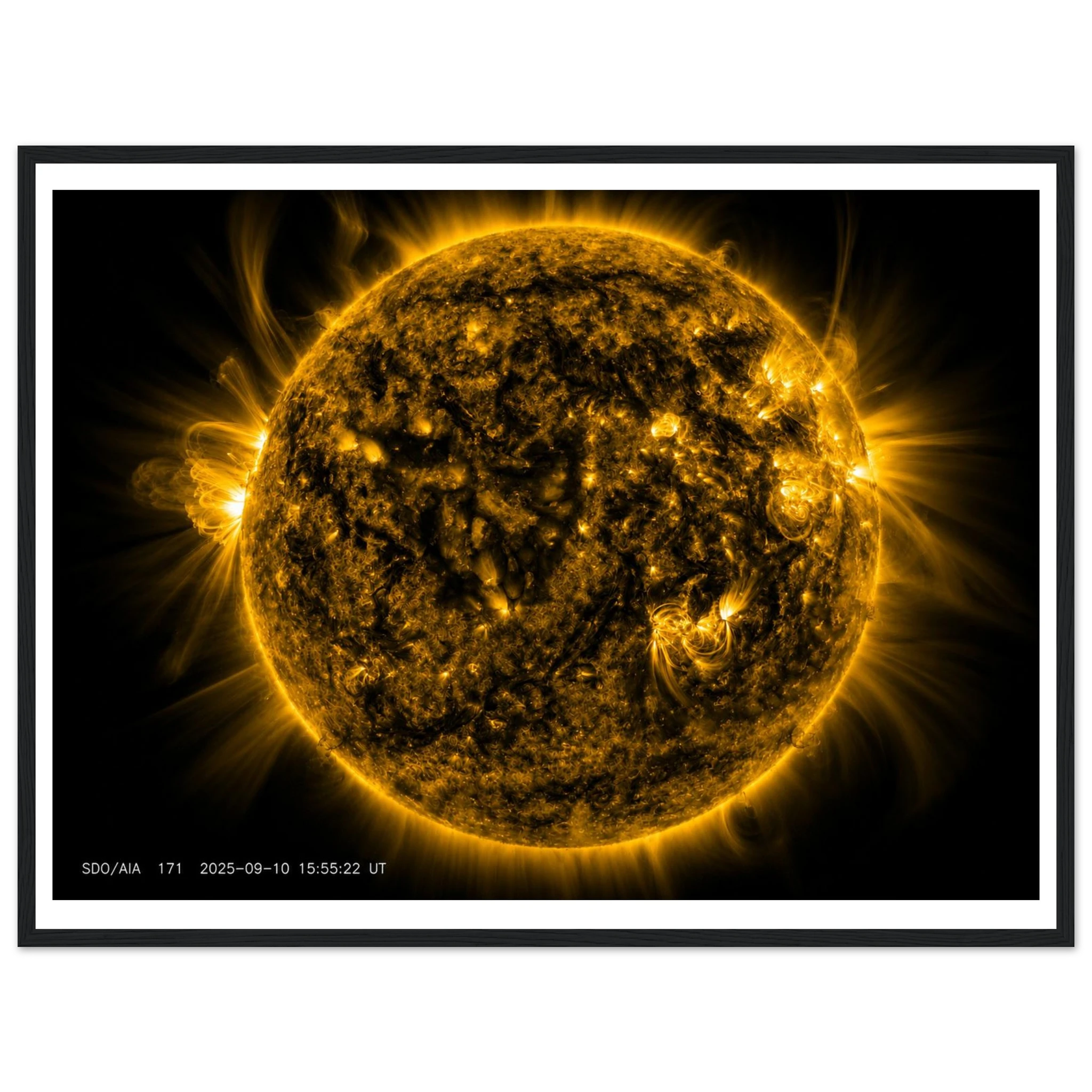 7e1c5502-36be-429c-a325-dd361eee8150