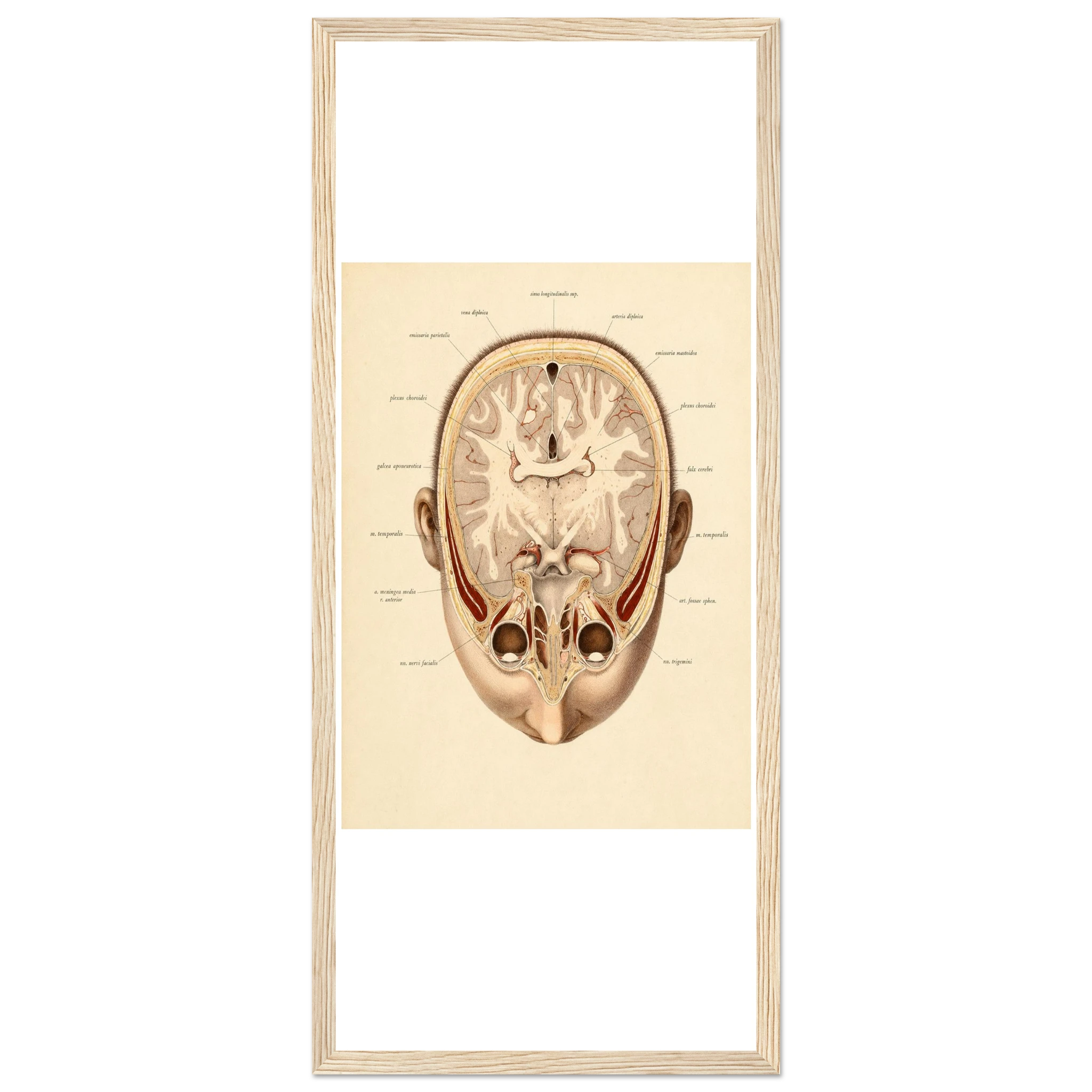 7ecc9c46-a327-4cba-ad24-c0bc55c023fa