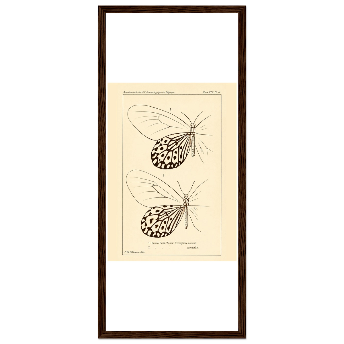 7ee0afac-c3d8-48b7-bf0e-402f872f2130
