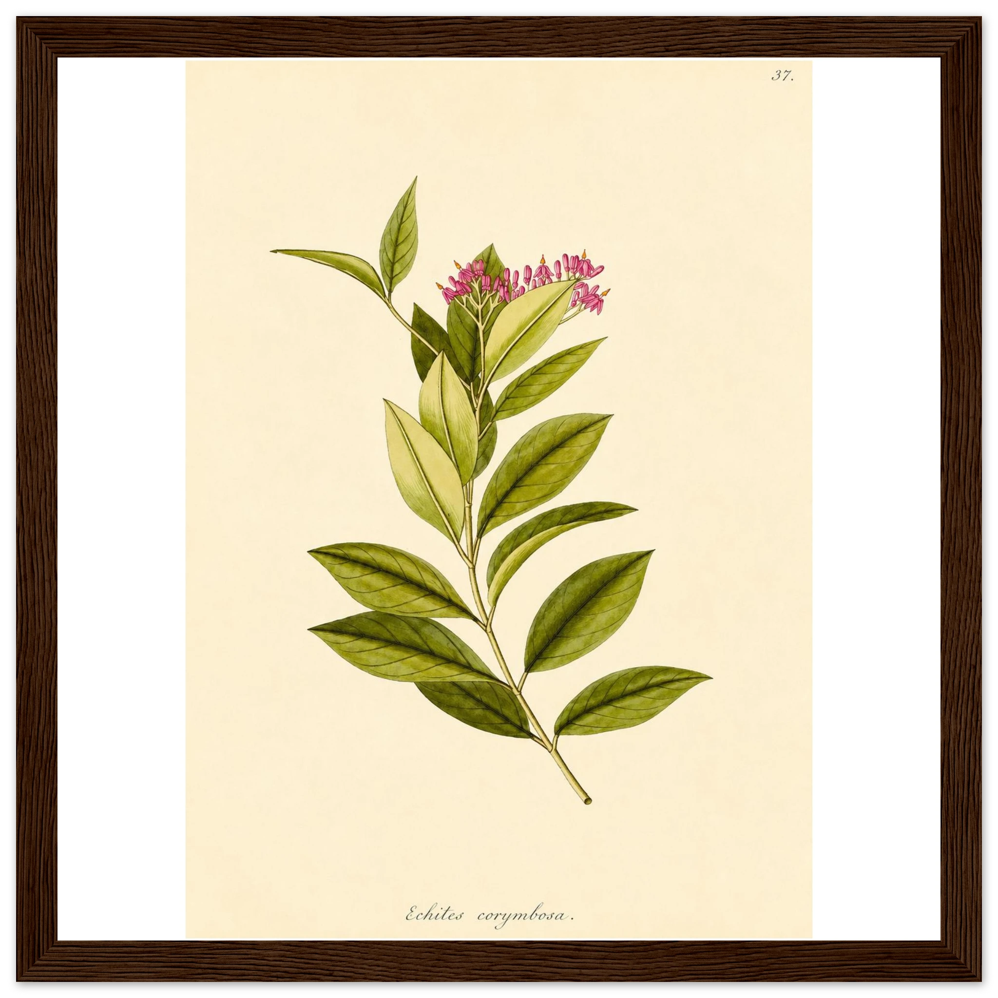 80784cd2-0211-4a00-9d3e-3761d63dee62