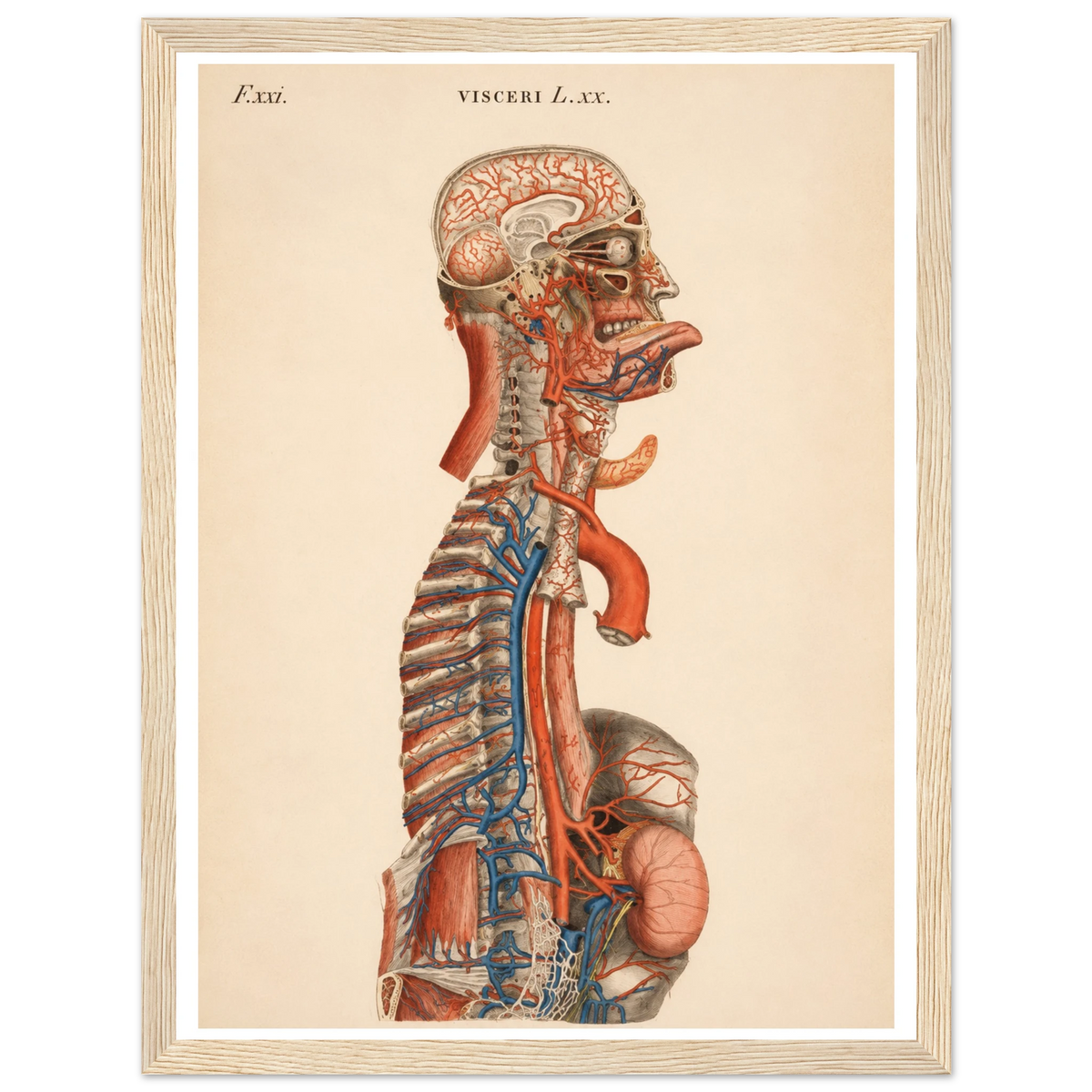 80e53e7a-4eba-4ef8-a5d9-72b706e172dc