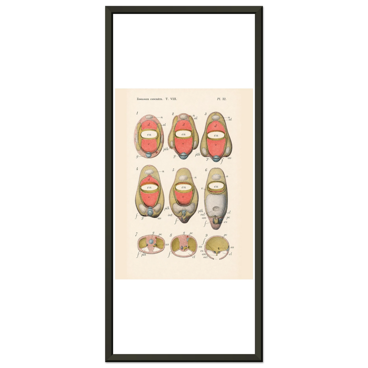 81afb0b1-1eeb-4cc9-83a4-7c23087642d4
