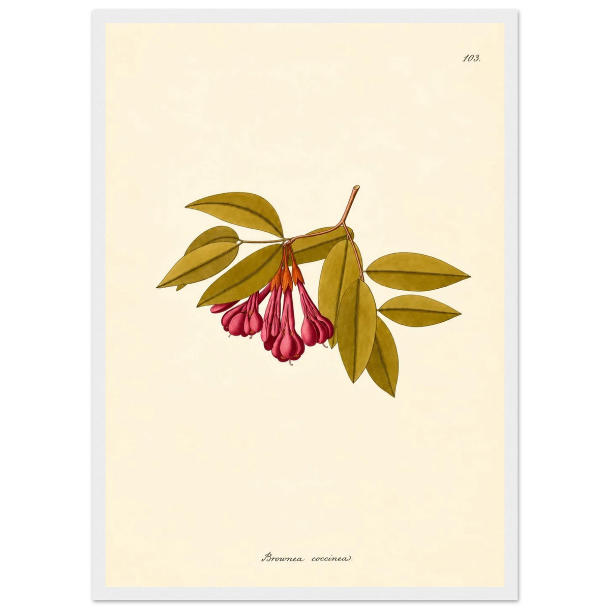 81d7a13e-8bd0-404f-8a77-fc7934cf1472
