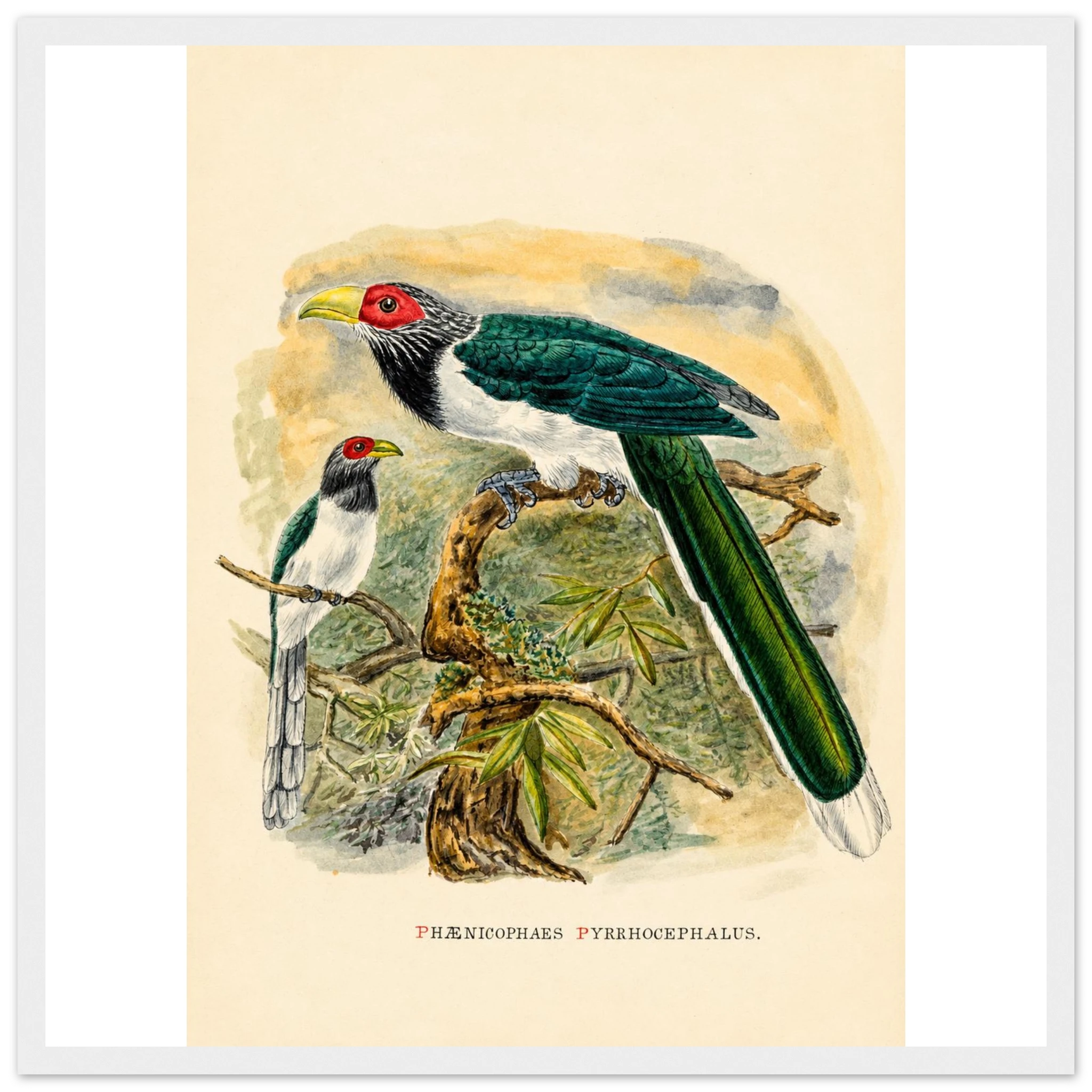 822cd4fa-45fa-4291-972a-090a15544df5