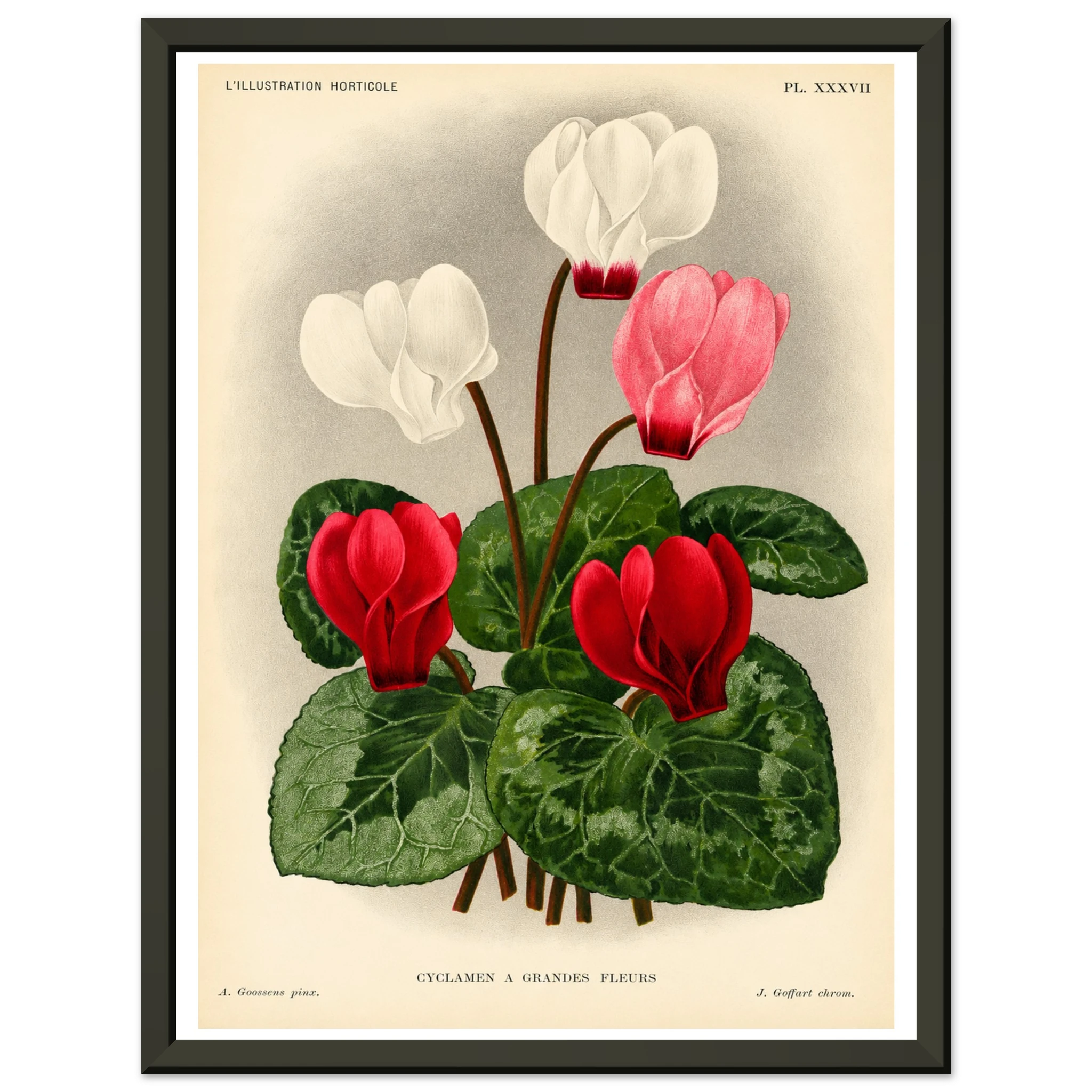 82a58e0e-4ee7-447c-a6d2-46f44d3e7078