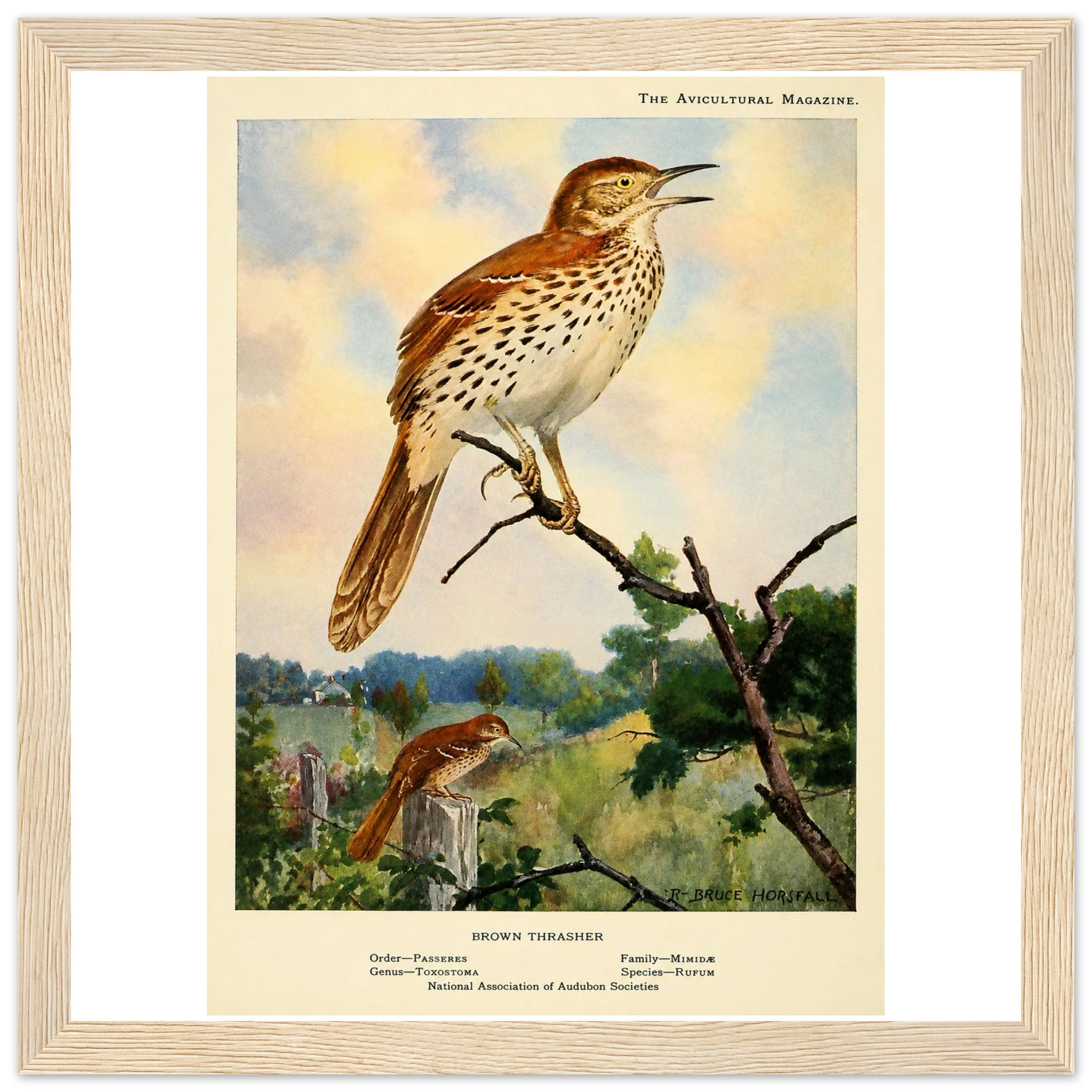 850d1450-c8eb-4b2a-b9fa-7018c5d91f76