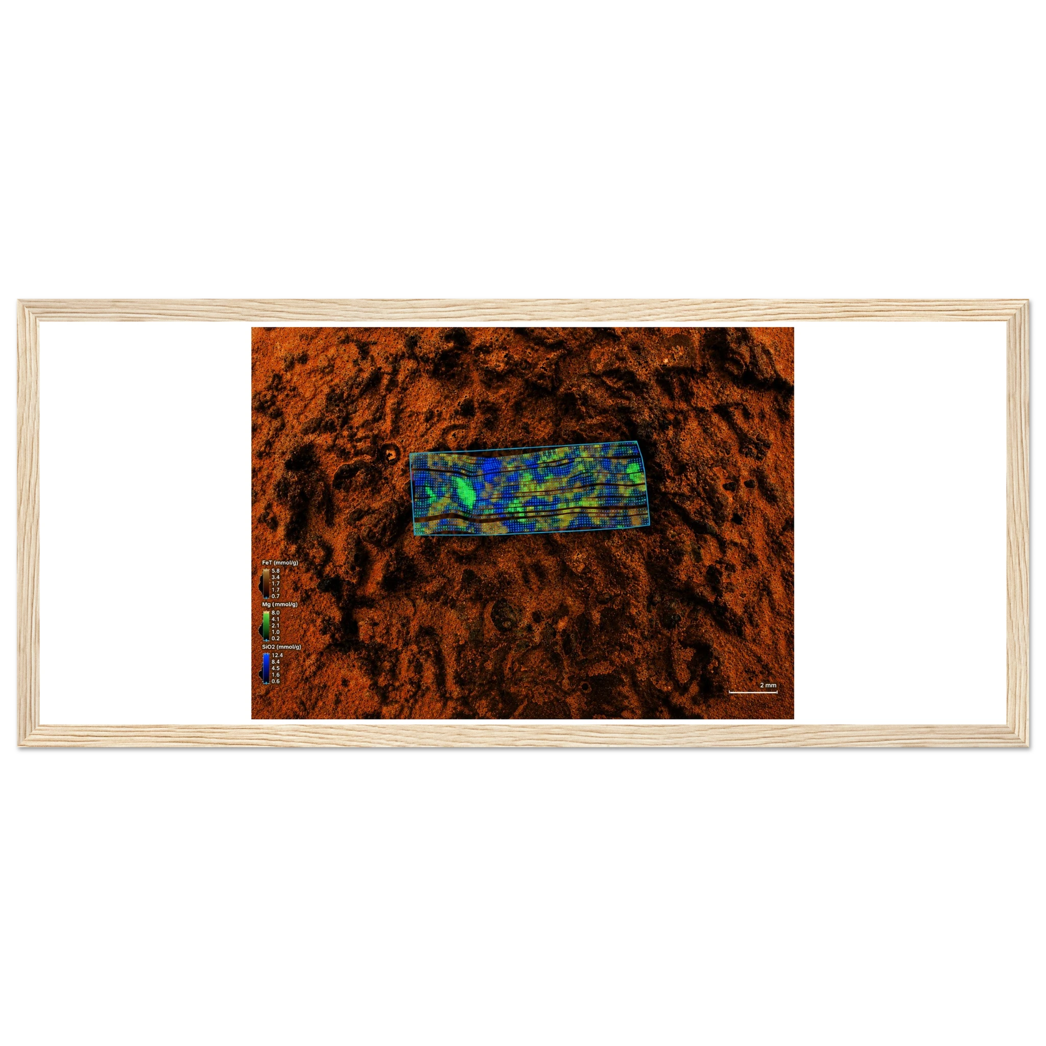 852f017c-55a8-4117-97db-e016f84ccc46