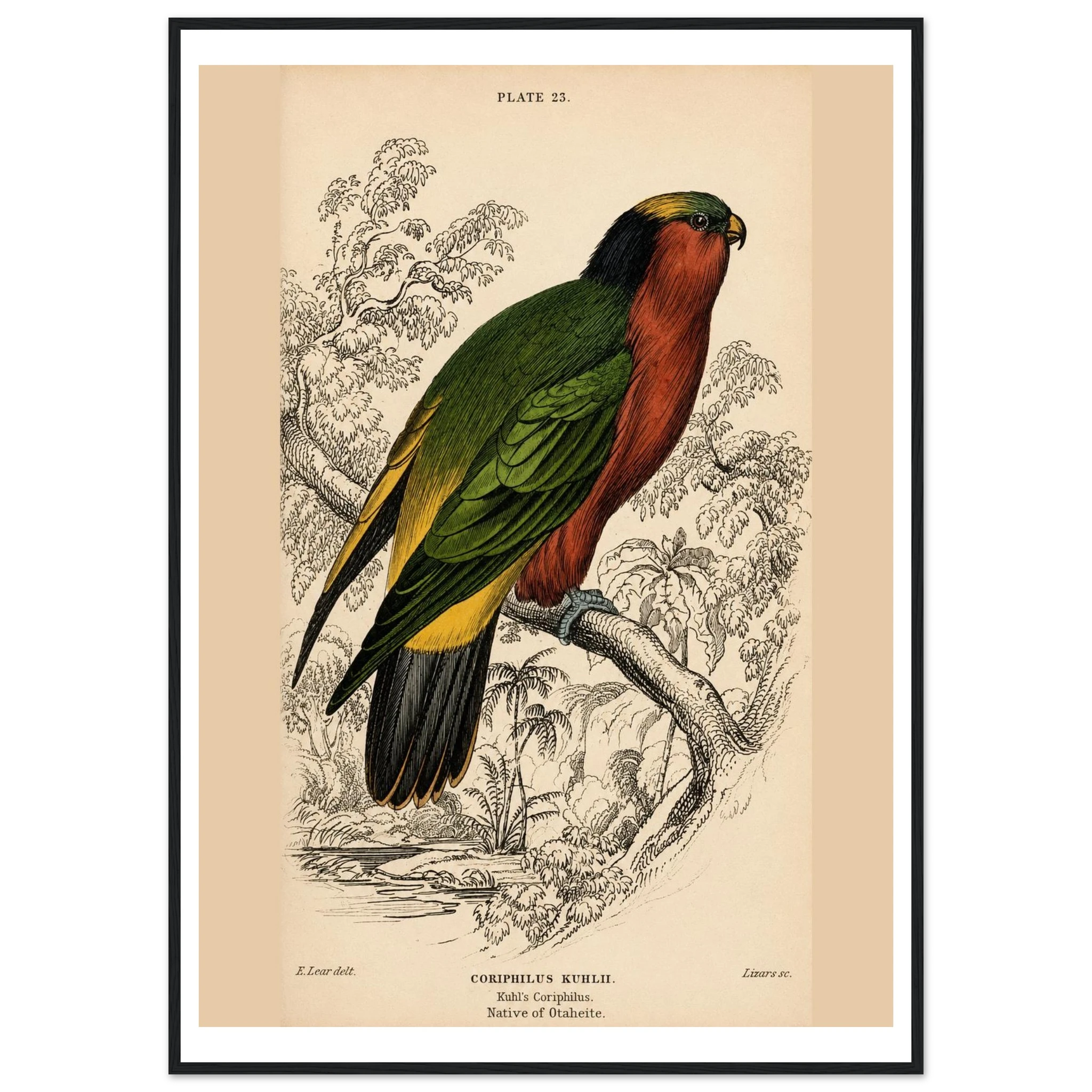 85916ee3-4375-42ad-a662-f912799016a8