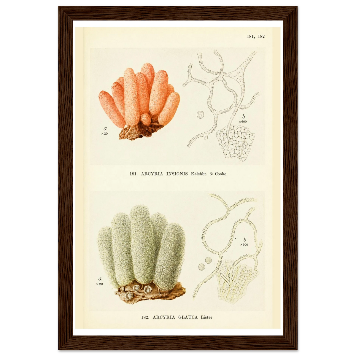 85a16d97-1676-4faa-aa3f-3746a6d9966b