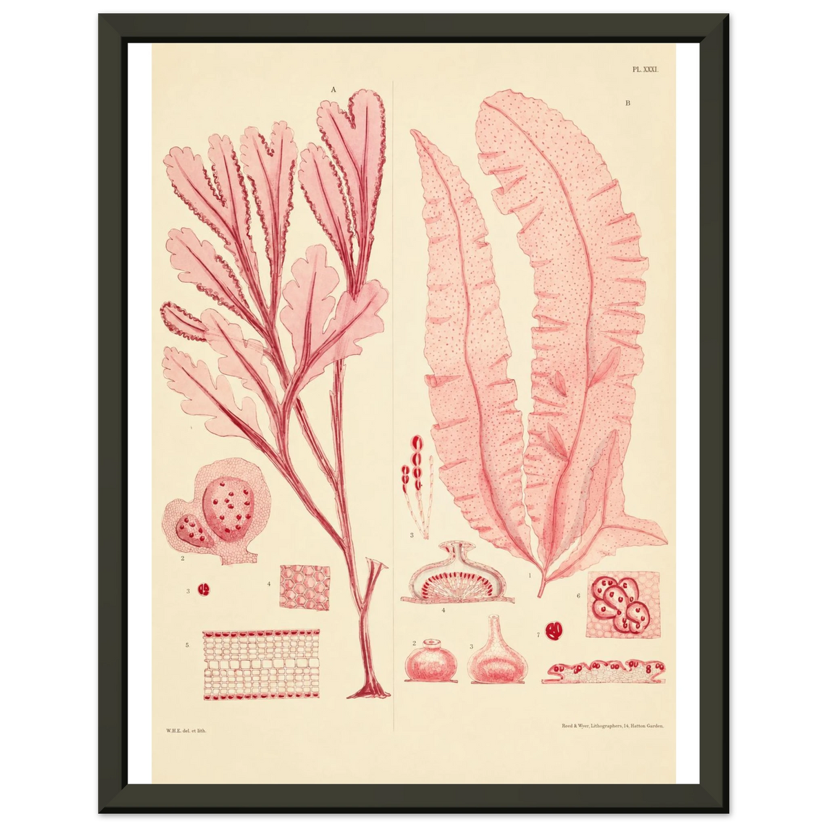 85bedbce-d4fb-47e1-bddc-065eb173cc7e