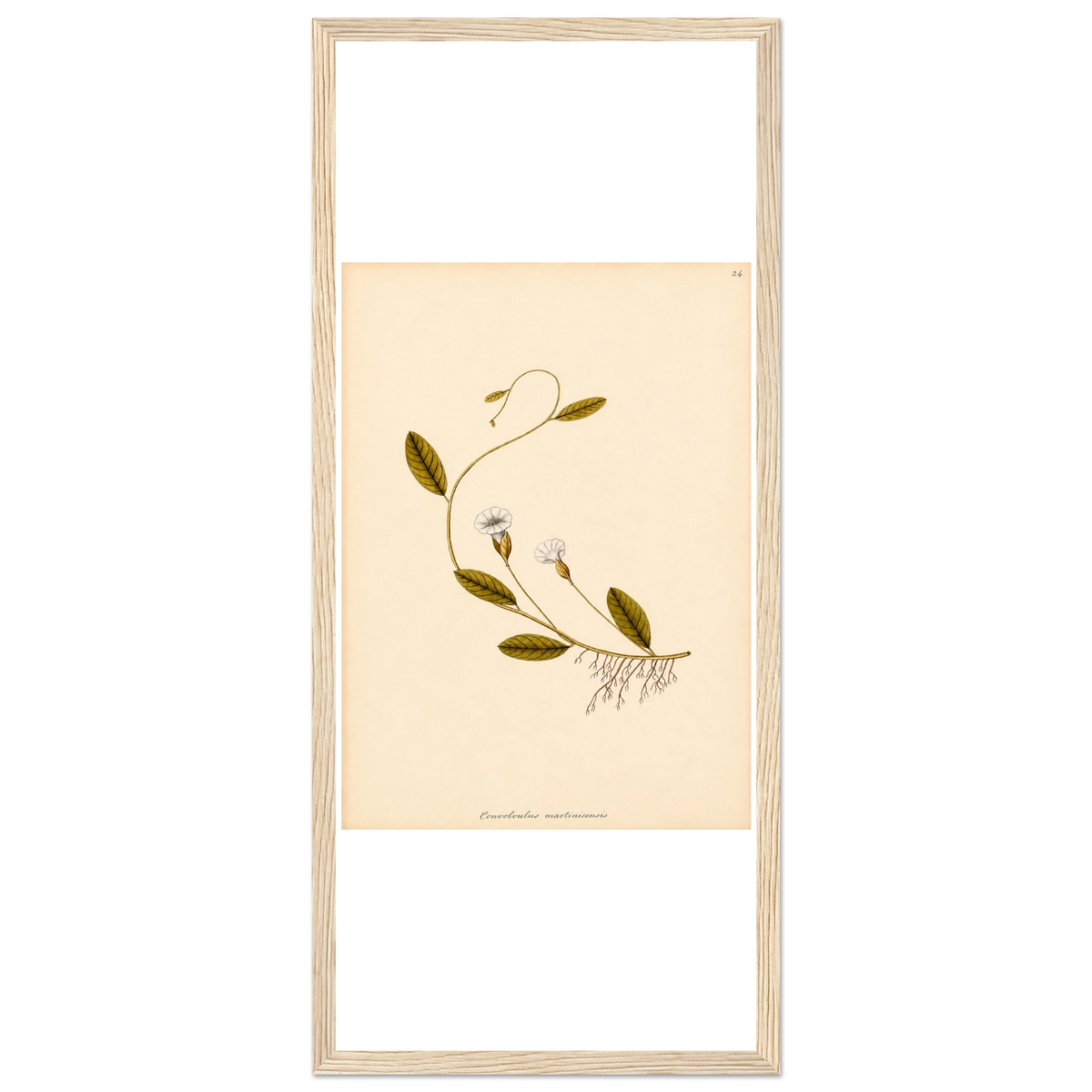 8654c48f-724e-41c7-bcbe-dcce05b62b73