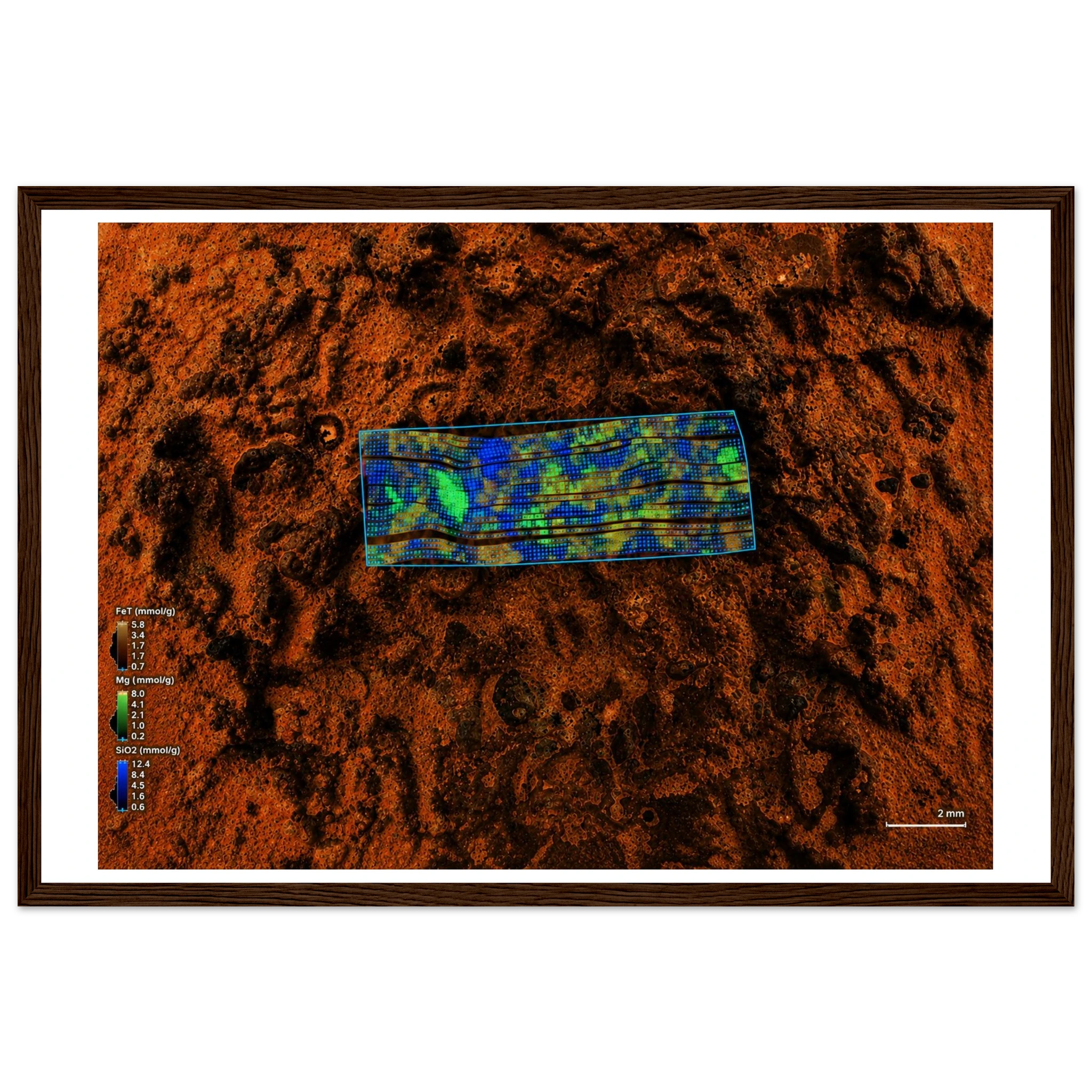 86a4f2e7-e30d-4040-9606-9a7e55854fa5
