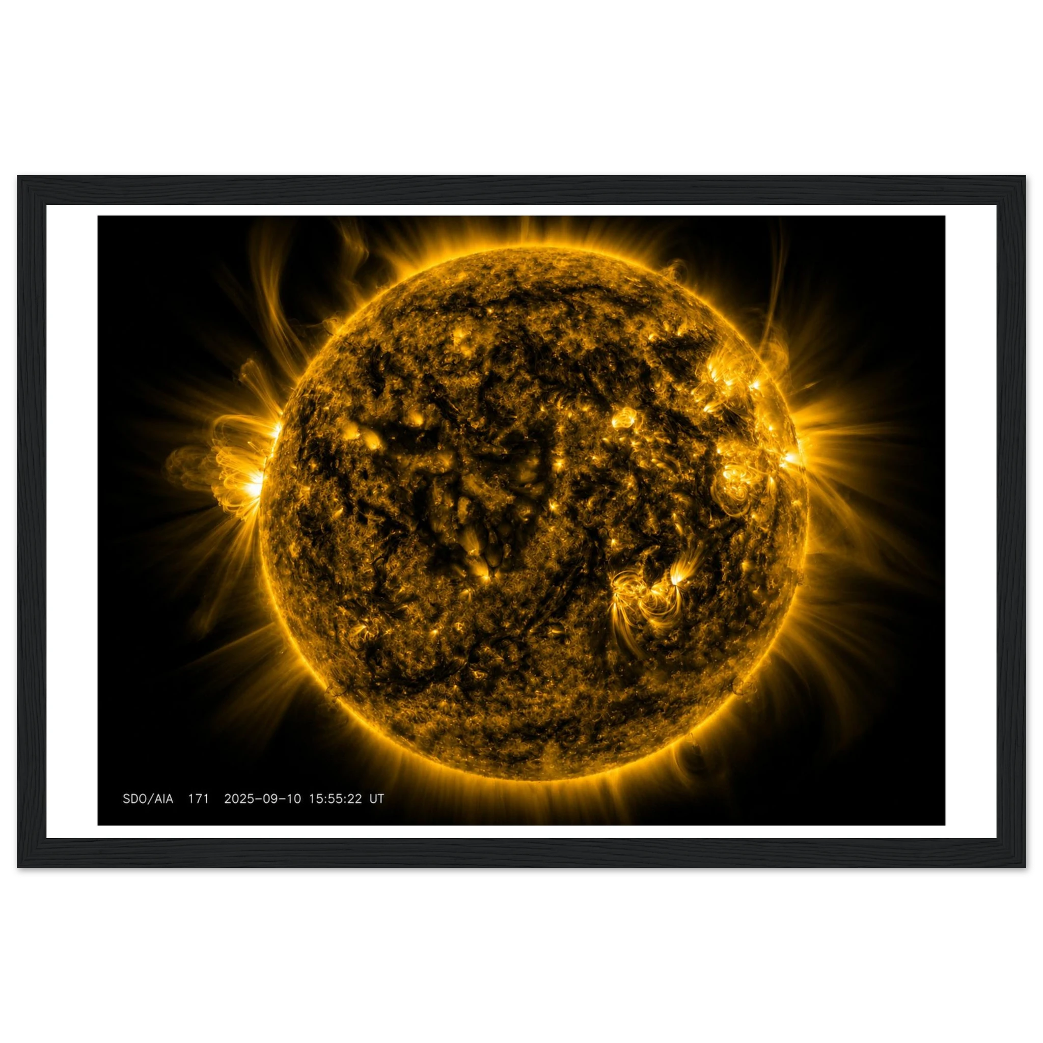 86c2e13e-238a-467e-96d3-a88a841adf27