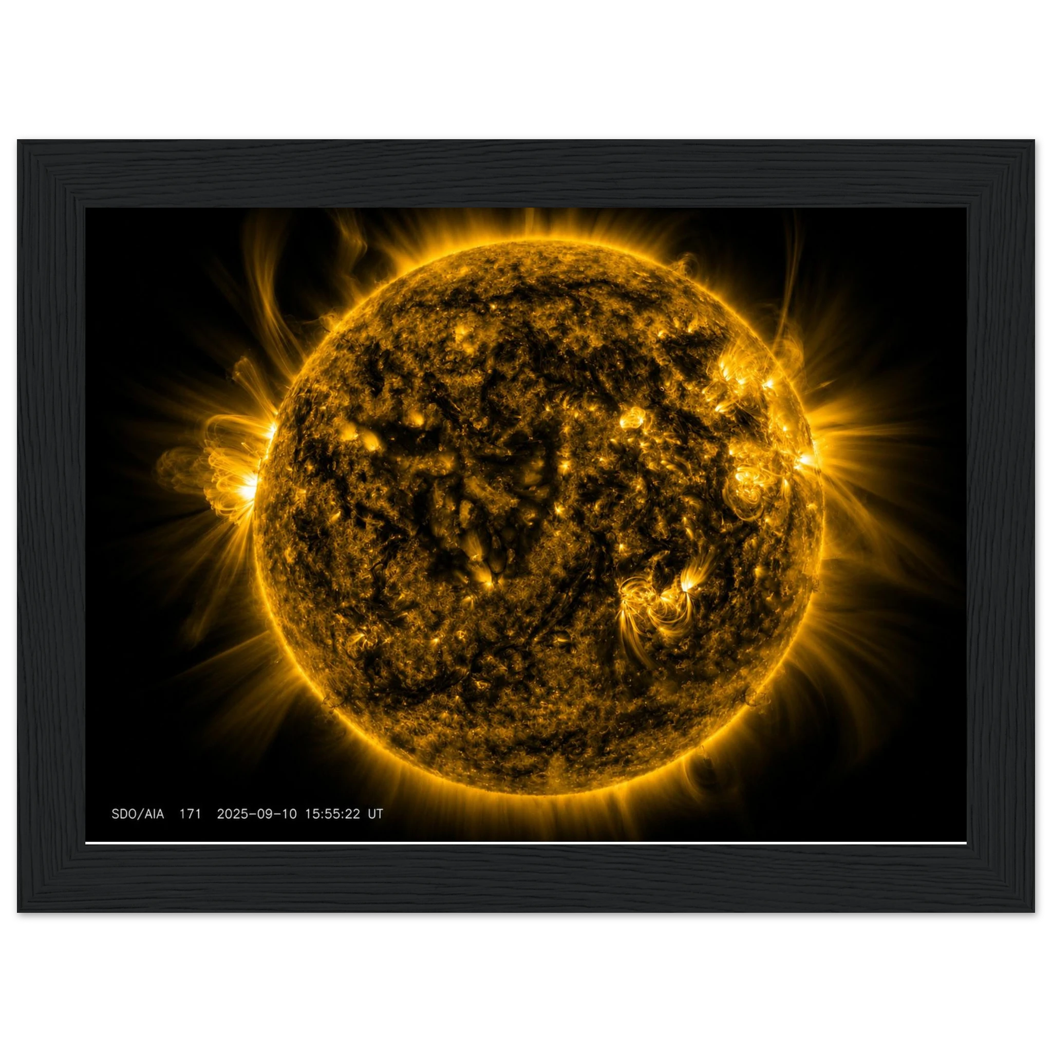 86e60545-9f0e-471c-9f33-49733b348b6e