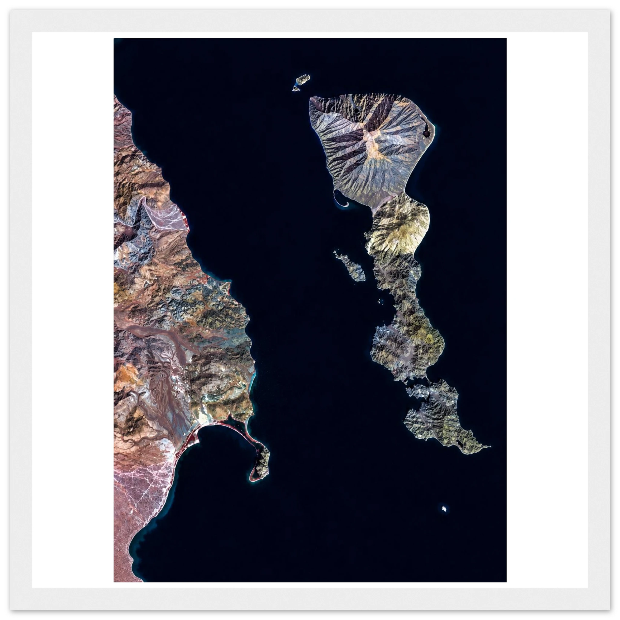 87539175-f734-4794-abcd-77aac277532c