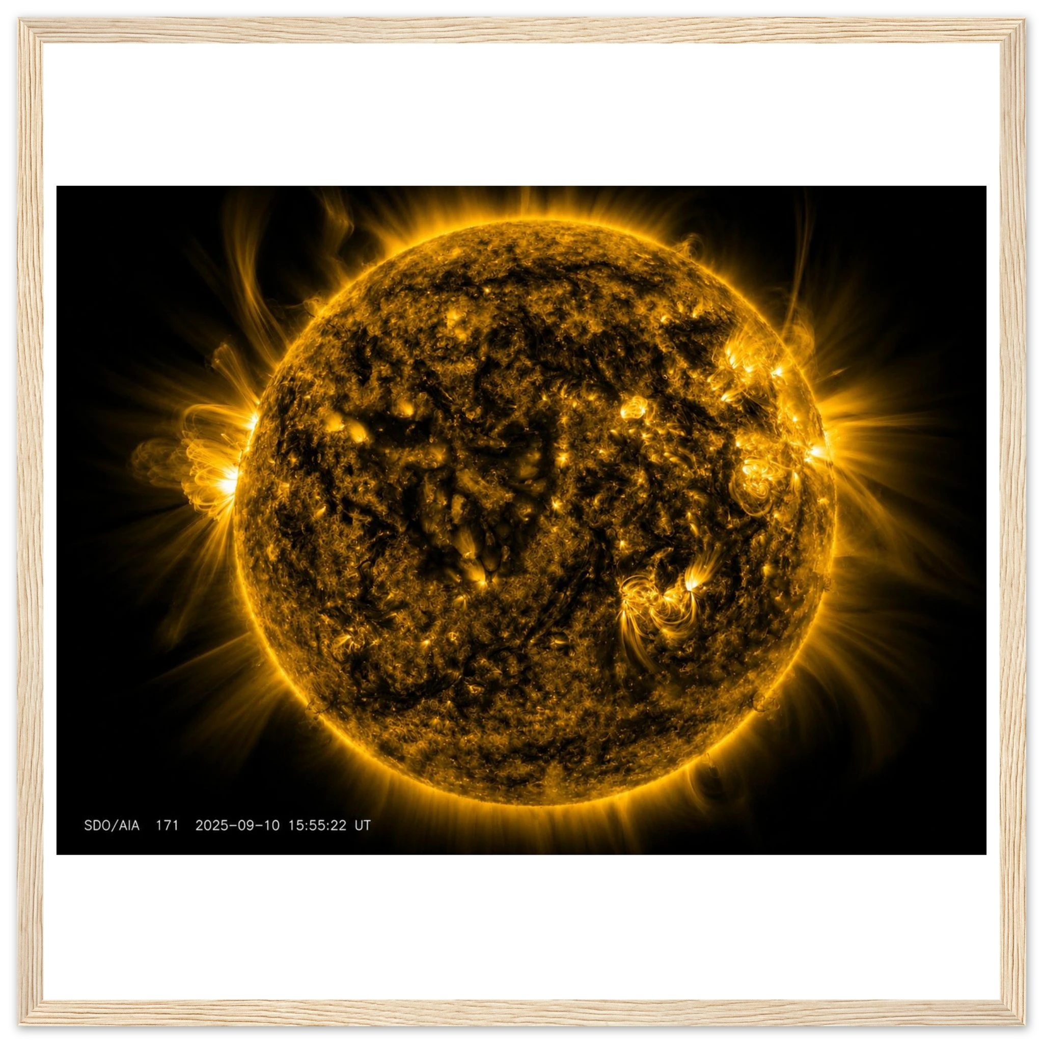 87de3754-f937-46f9-b4df-23f2e9d77c92
