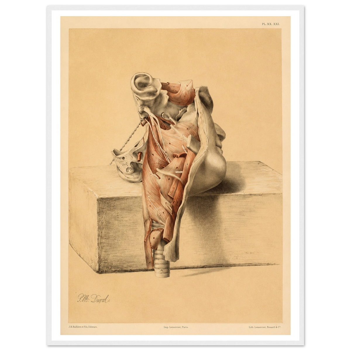 88700b4a-5643-46b1-913f-2d57d449fb87