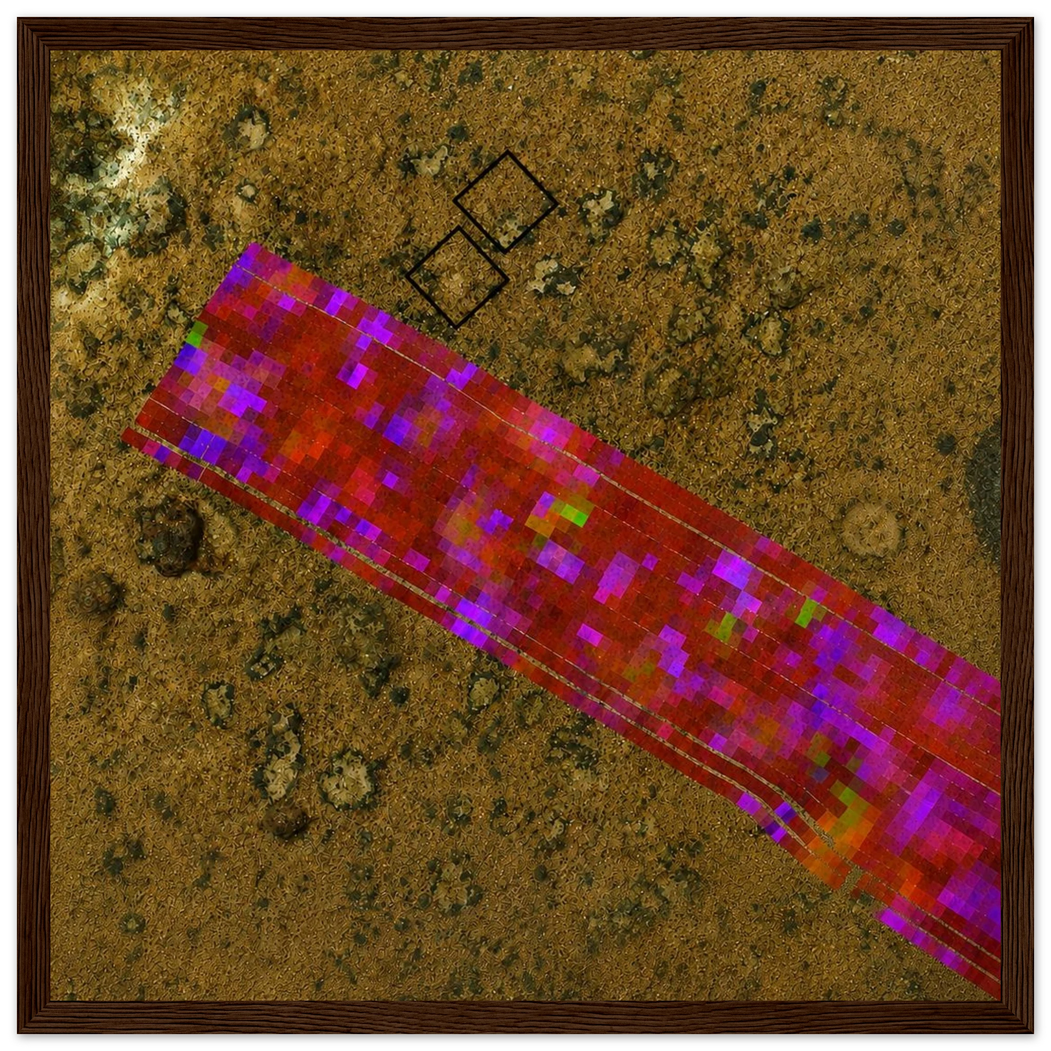 89569446-1cd1-442e-aba7-b1ed5db84288