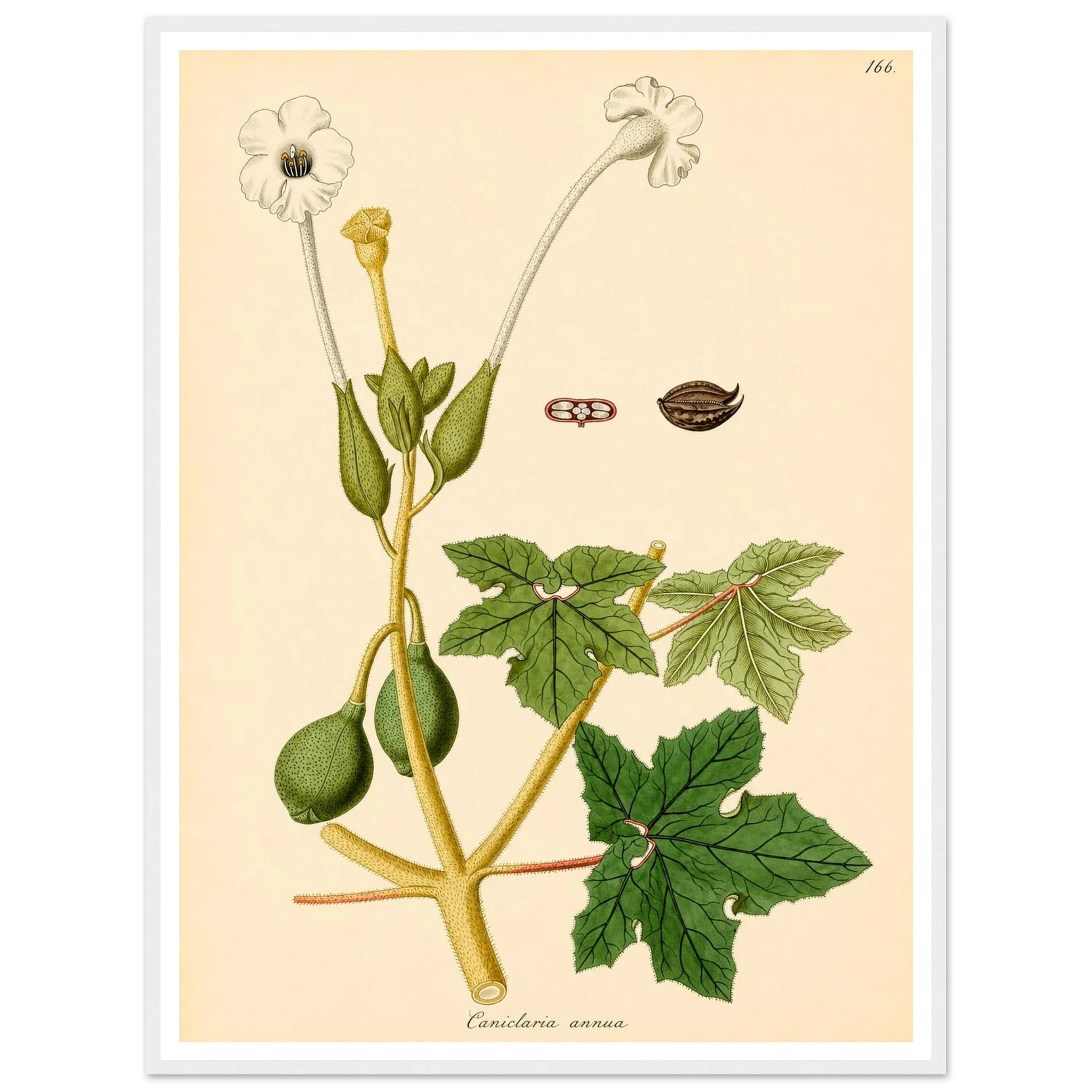 899b73ee-f78e-4a5f-b3ba-d1b0e8f8716f