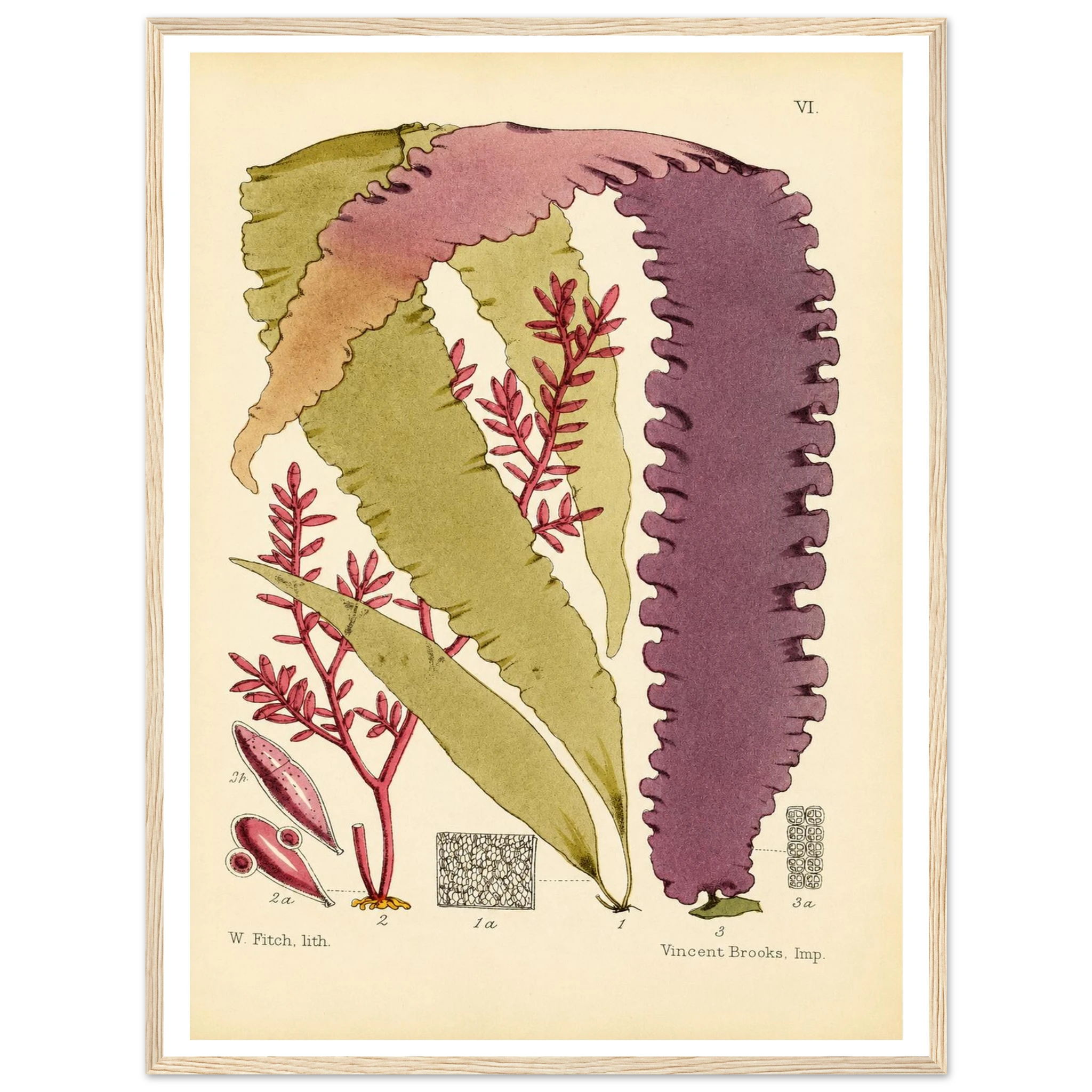 89b2313e-dc57-43c1-a0c8-bbf806d3242f