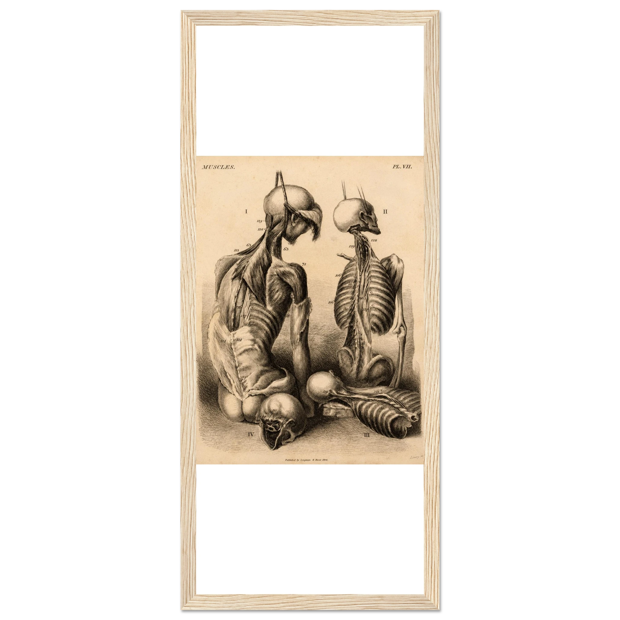 8af2acb8-c175-43ea-a8af-b865903ec139
