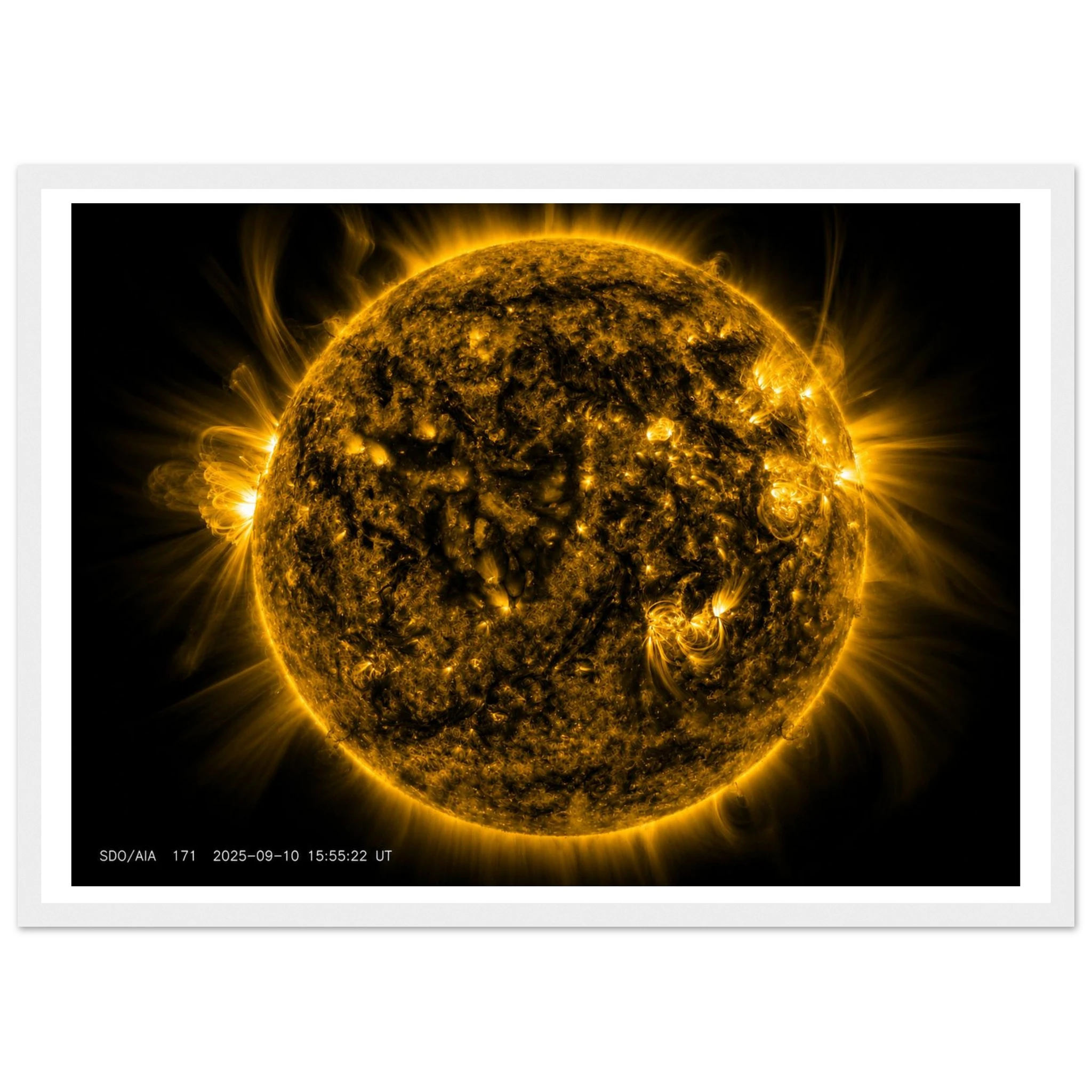 8c027703-4b59-479f-8de7-475b5c8bf31d