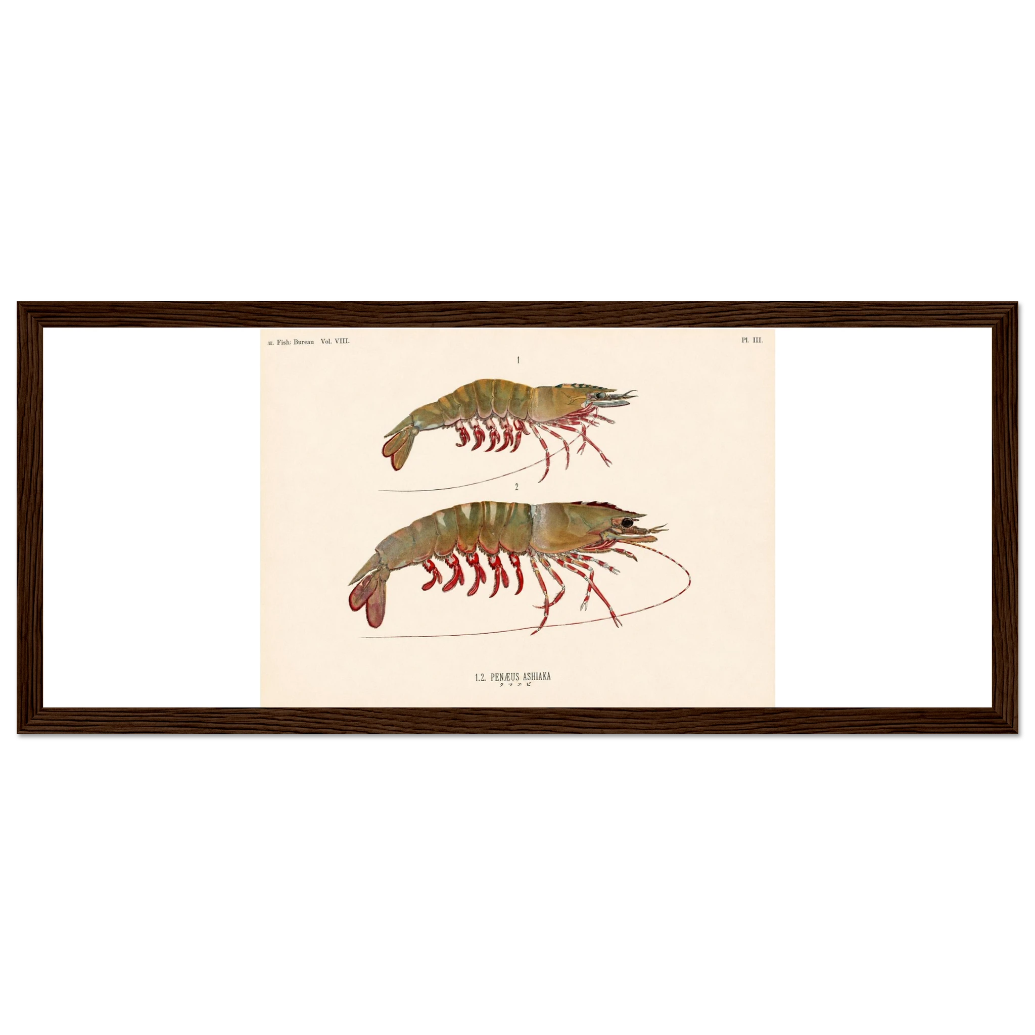 8c5e013d-08ca-4b87-8fde-1efea275cc07