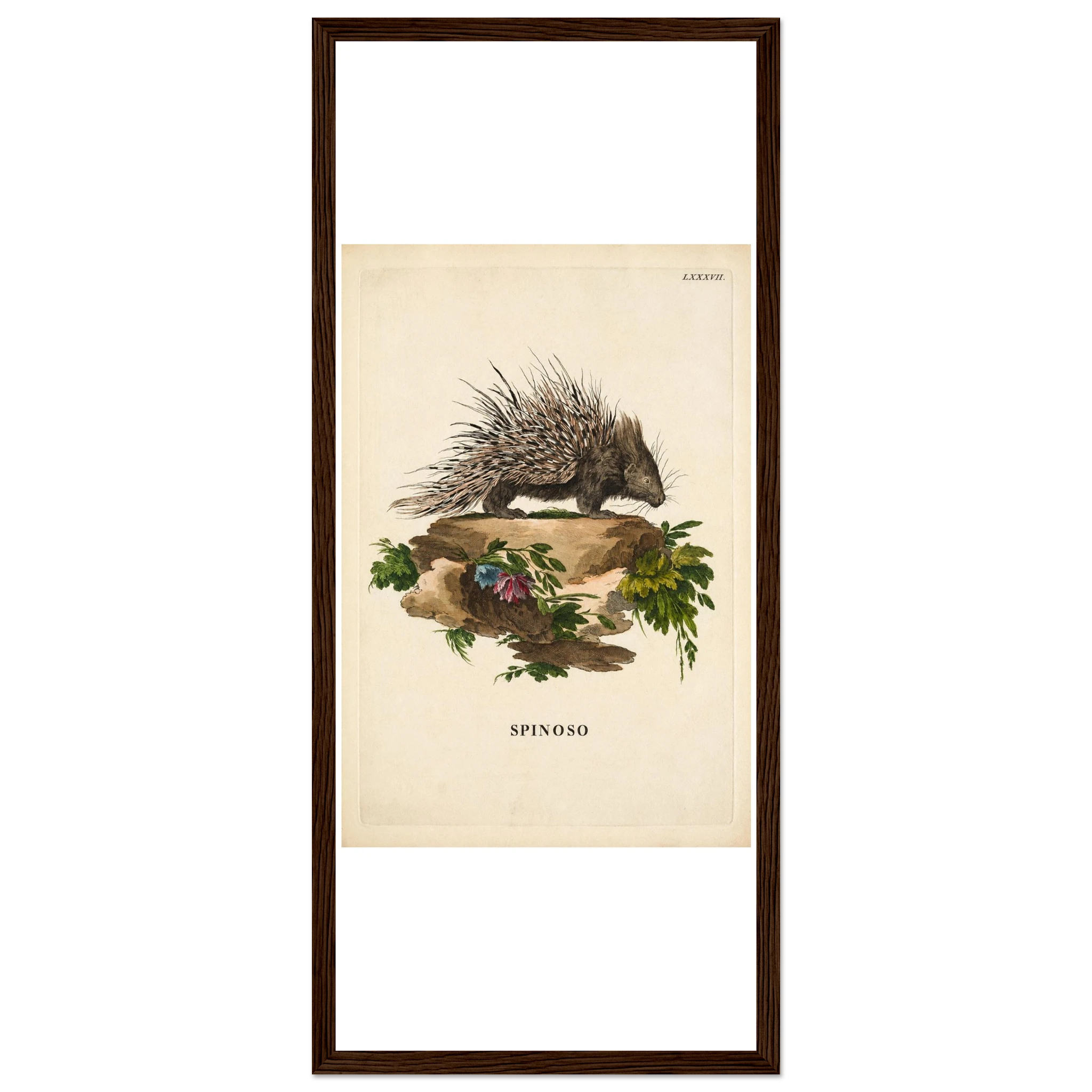 8c6755df-5dcc-438b-a862-10ffee5102d1