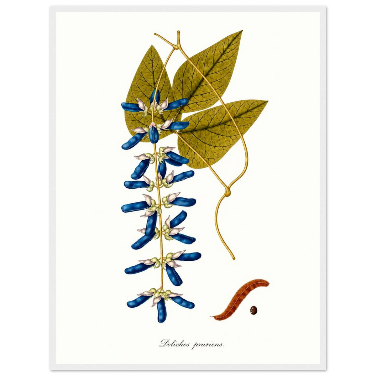 8ca98fb3-e940-434a-bacb-6ccbe28be8bc