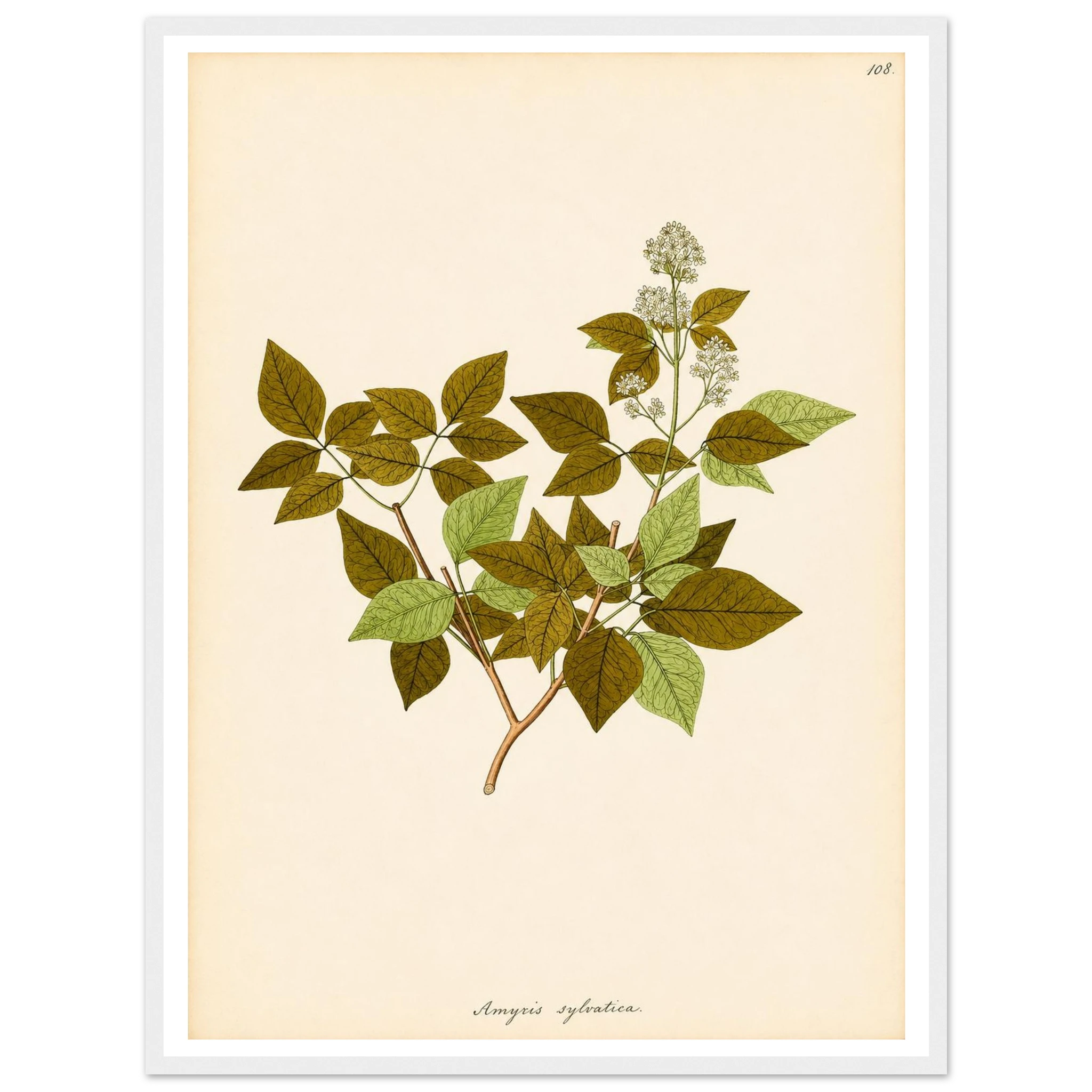 8cbd608d-36be-4984-a86e-d97971105ee3