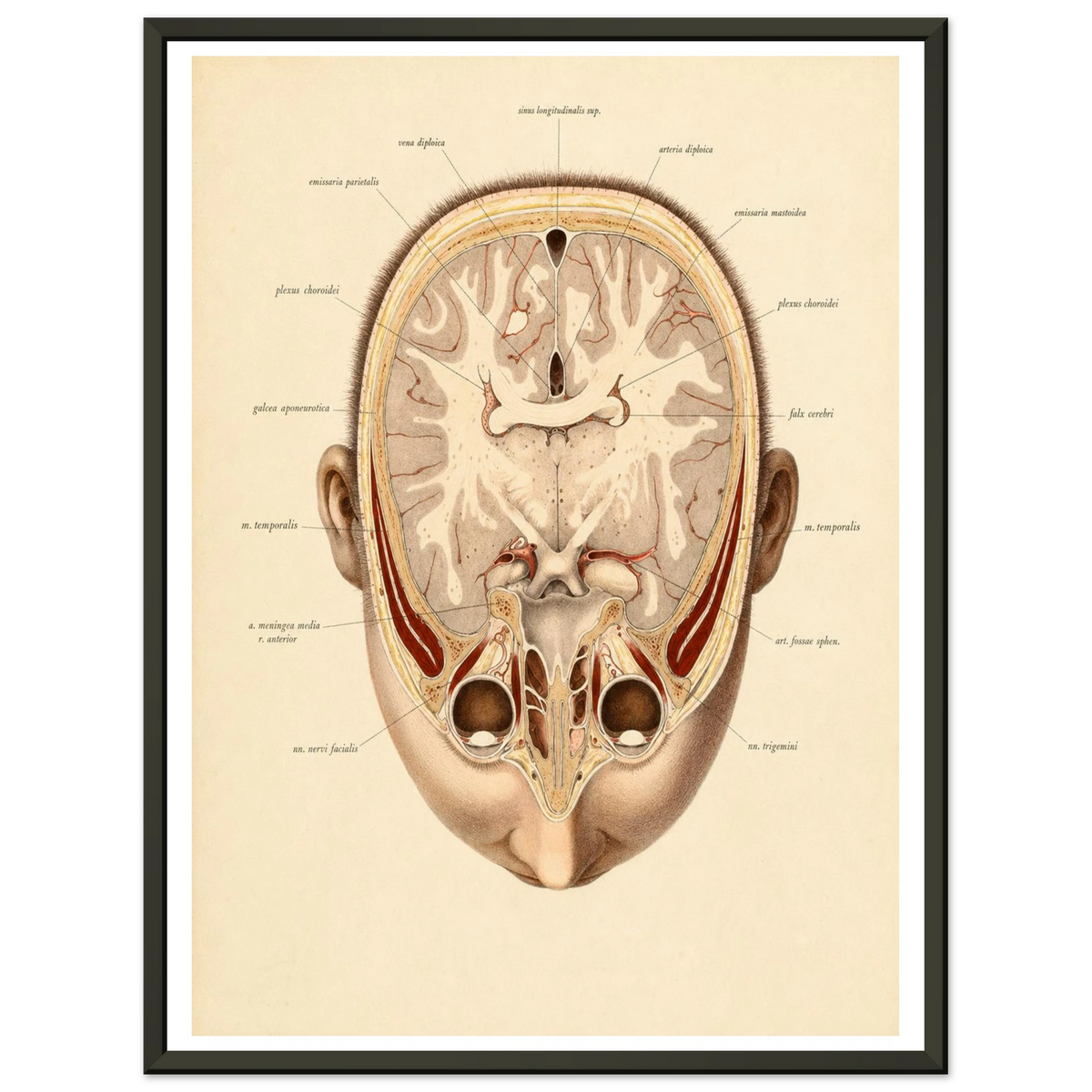 8cc583d8-f73f-47f4-b320-181b378f33ad