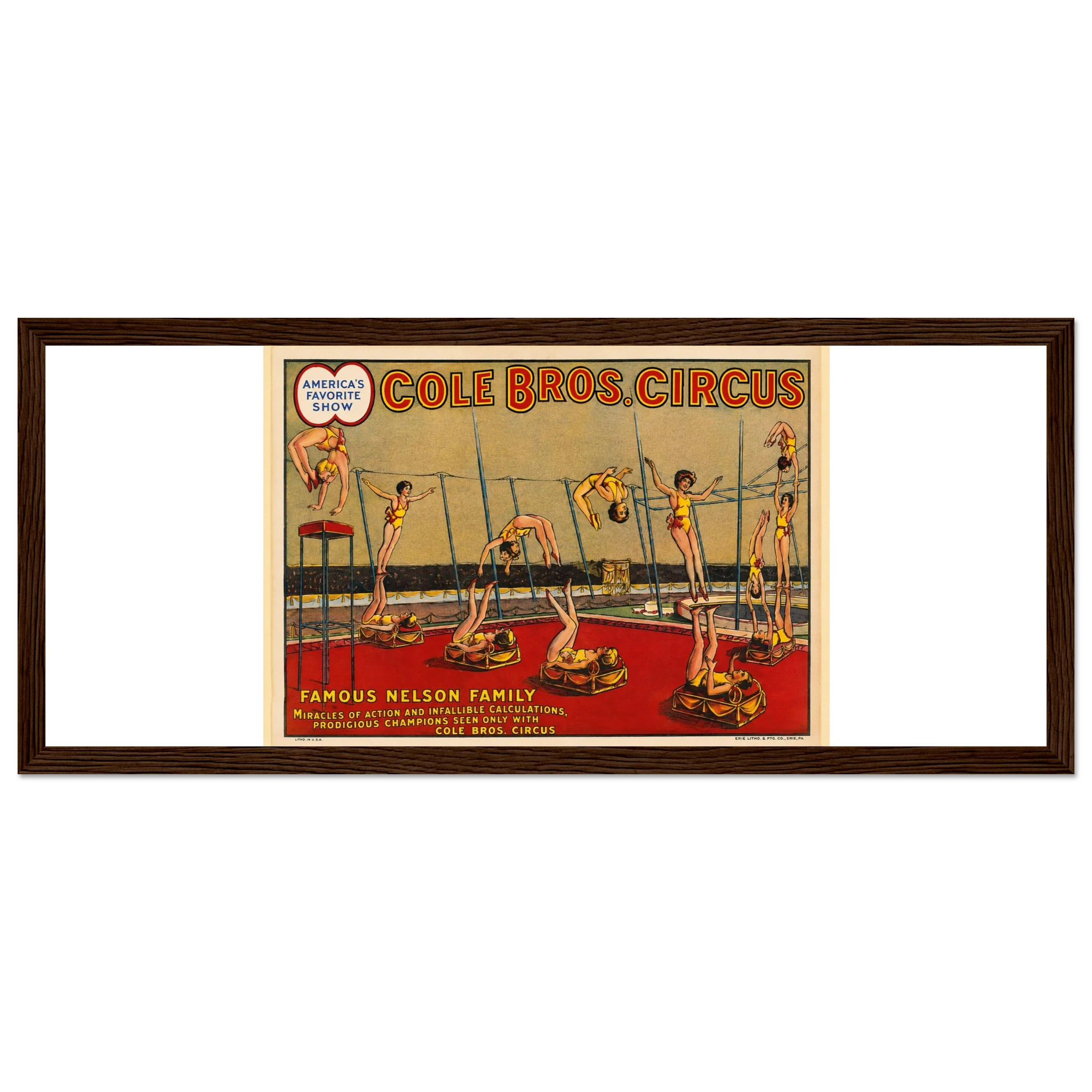 8ccf02c1-46bc-49d9-9457-fc76ea0492d1