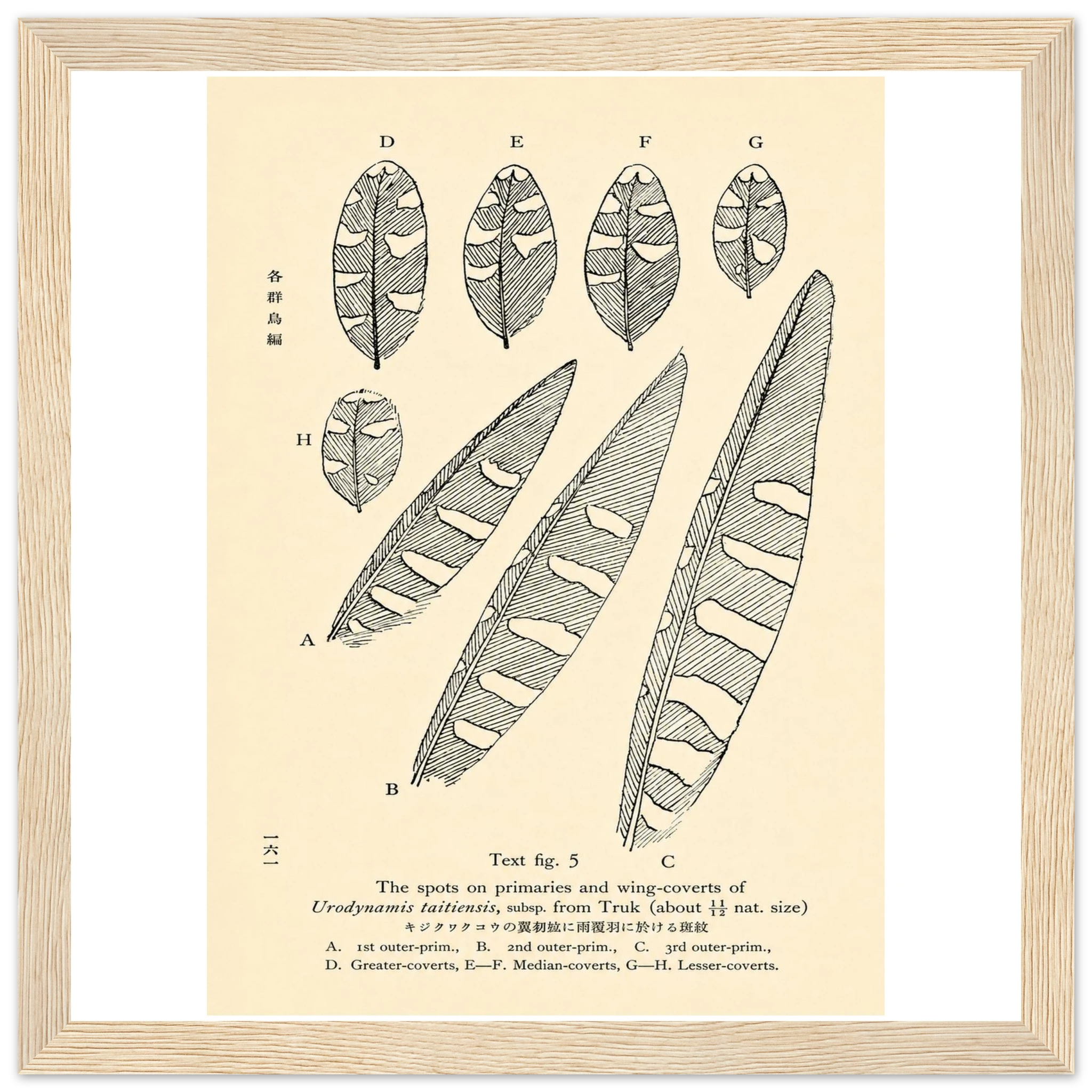 8cd36e5b-a333-4c19-a1ea-58db19ba75a3