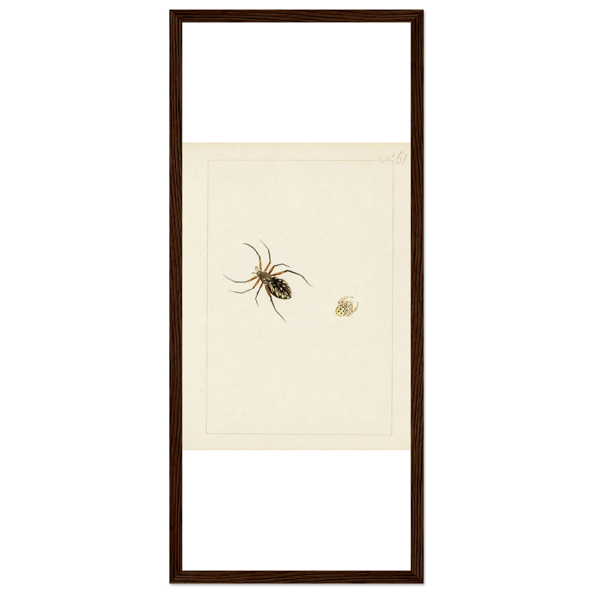 8ce671c4-ab22-4bd4-ad0b-06e99a2814d8