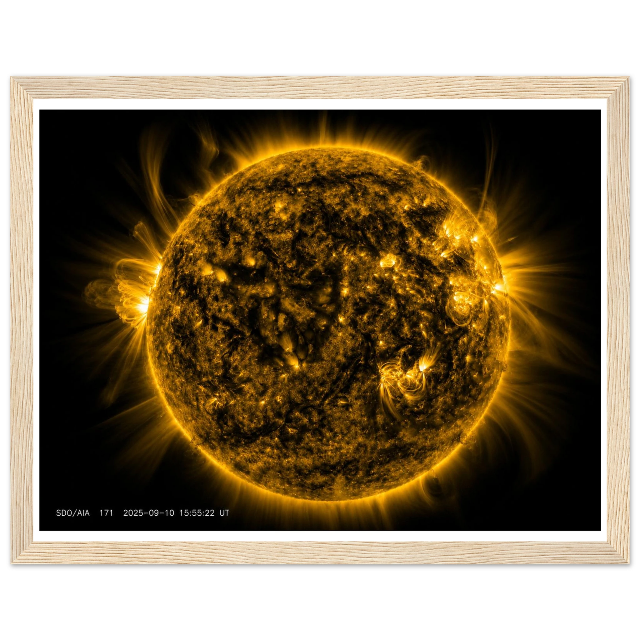 8cf5673d-1165-4e00-9ade-187085539531