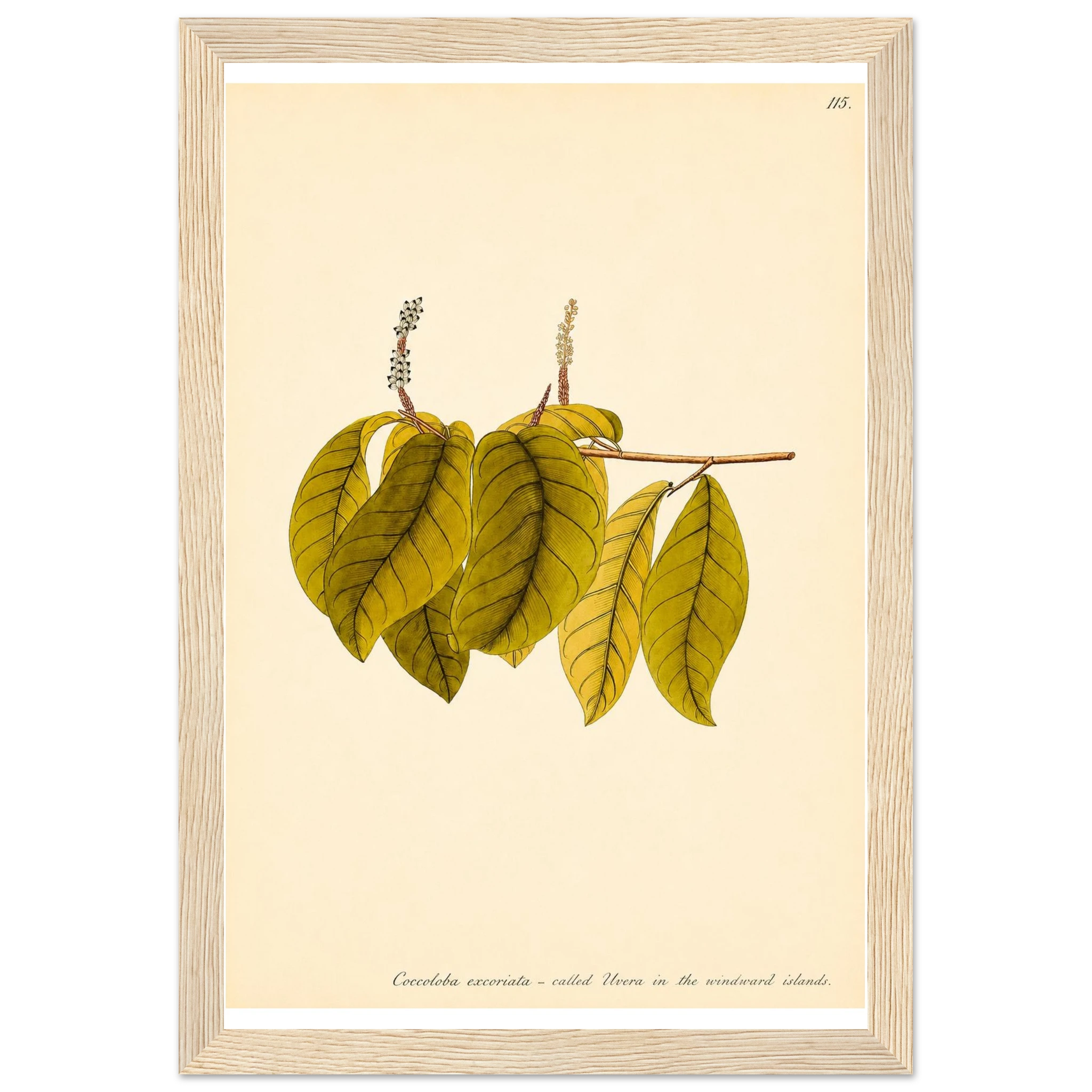 8d245e9b-df55-462c-8ed3-3d05d2072e8b