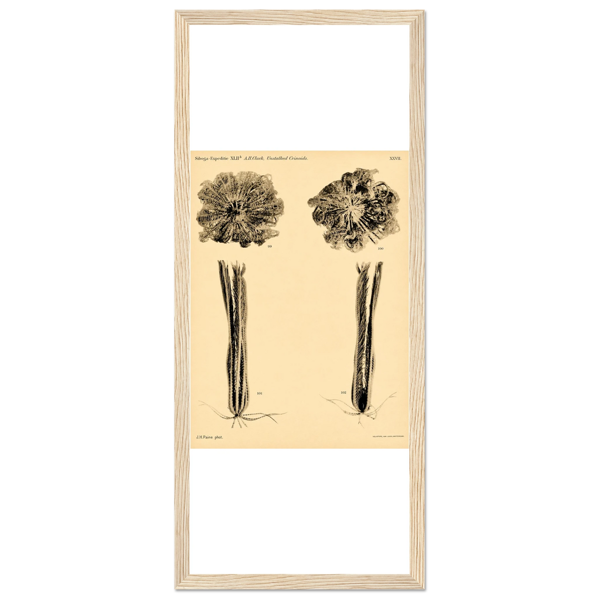 8d56c6ff-e349-4b57-9b2c-f94ba0dc9a38