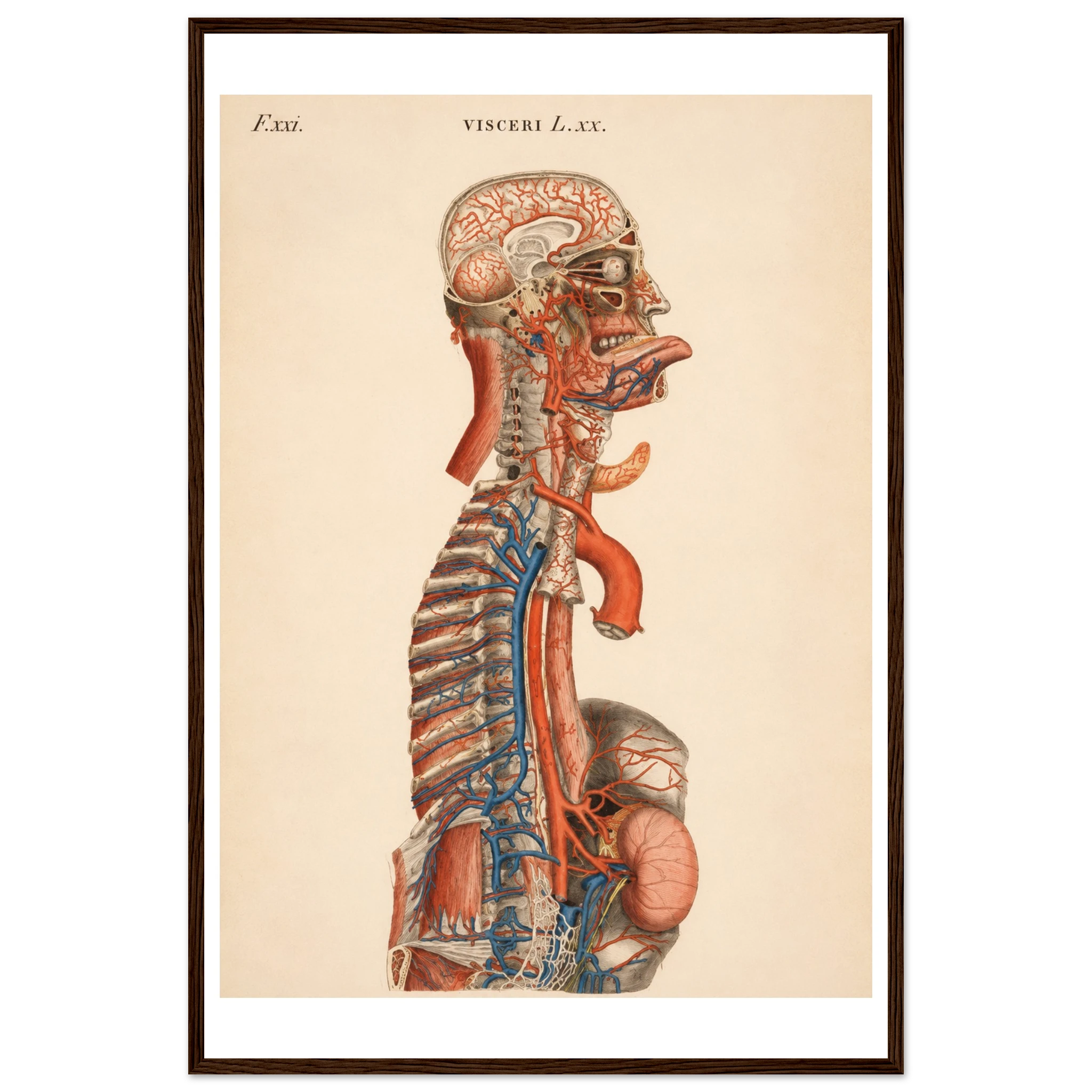 8db94ee3-e135-4ab7-858e-5111faf3b317