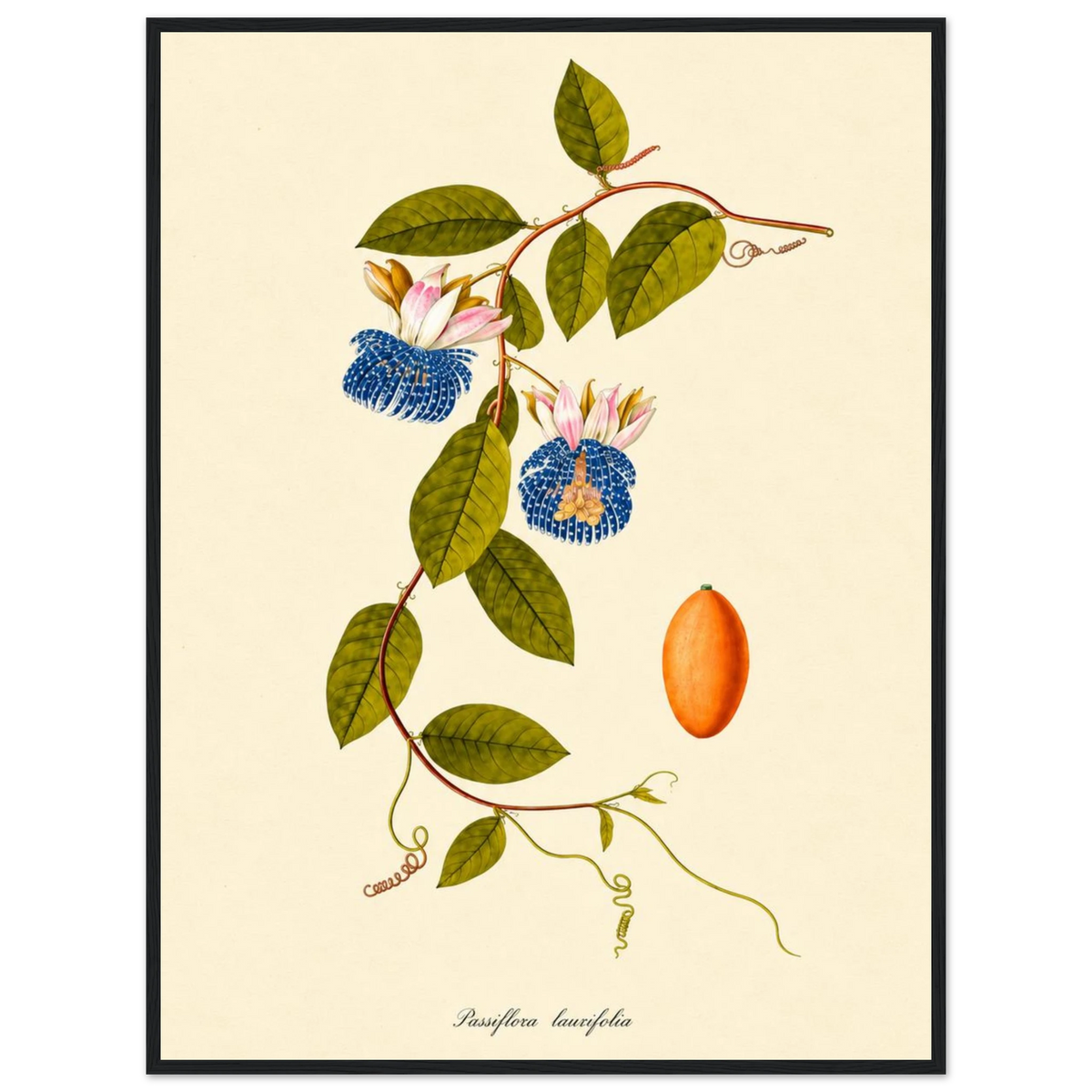 8eb524ca-98d3-4fad-ac2f-a6064f866442